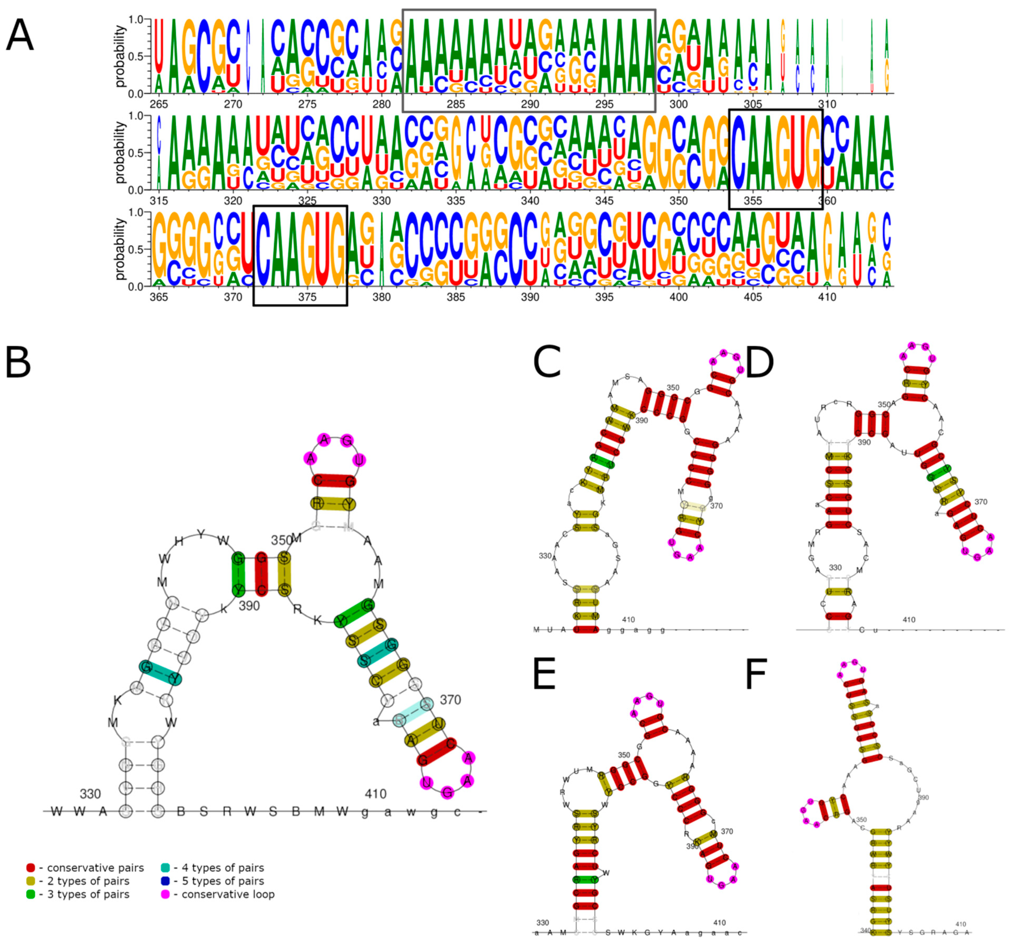Viruses 15 00971 g003 Viruses 15 00971 g003