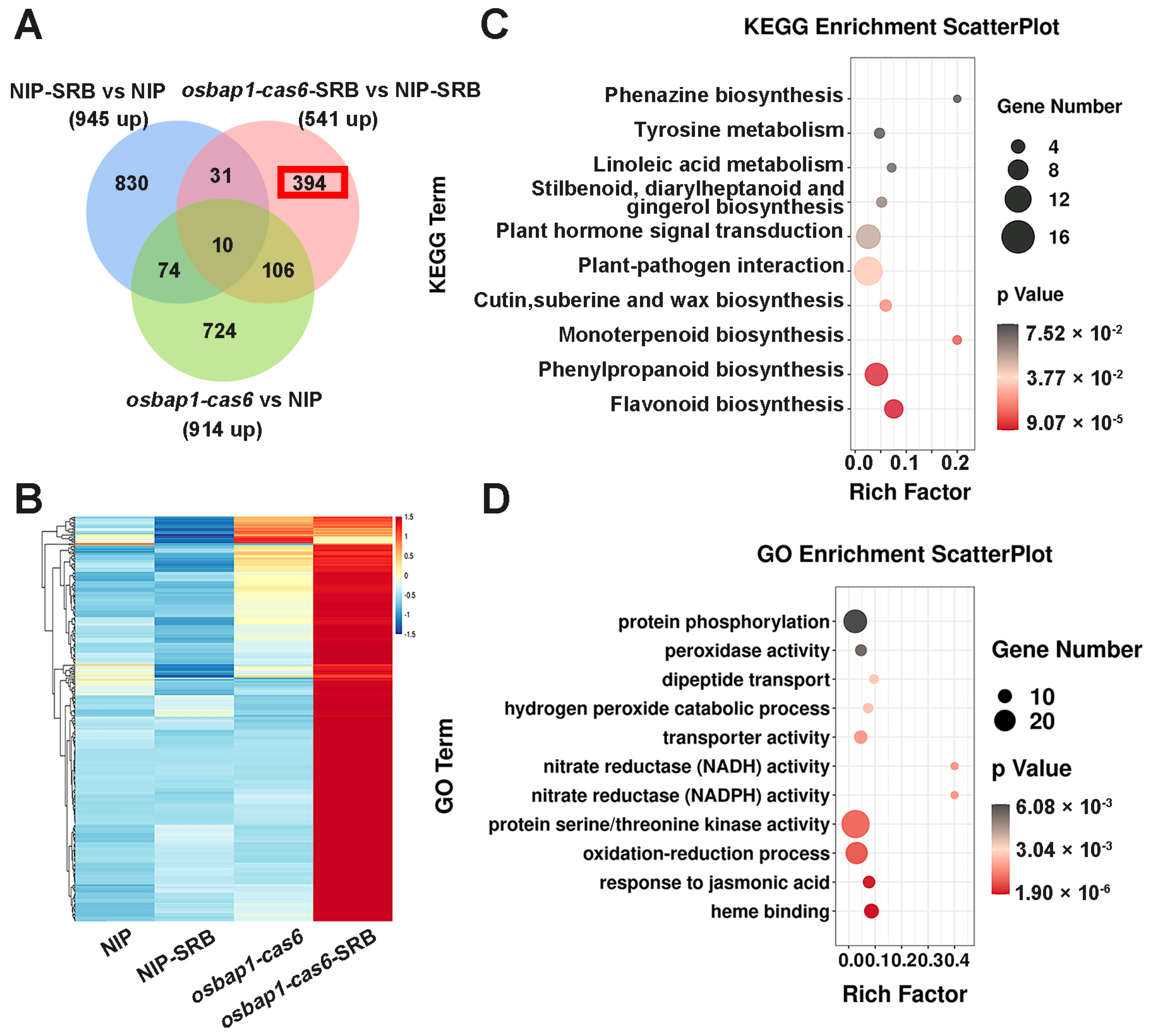 Viruses 15 00973 g004 Viruses 15 00973 g004