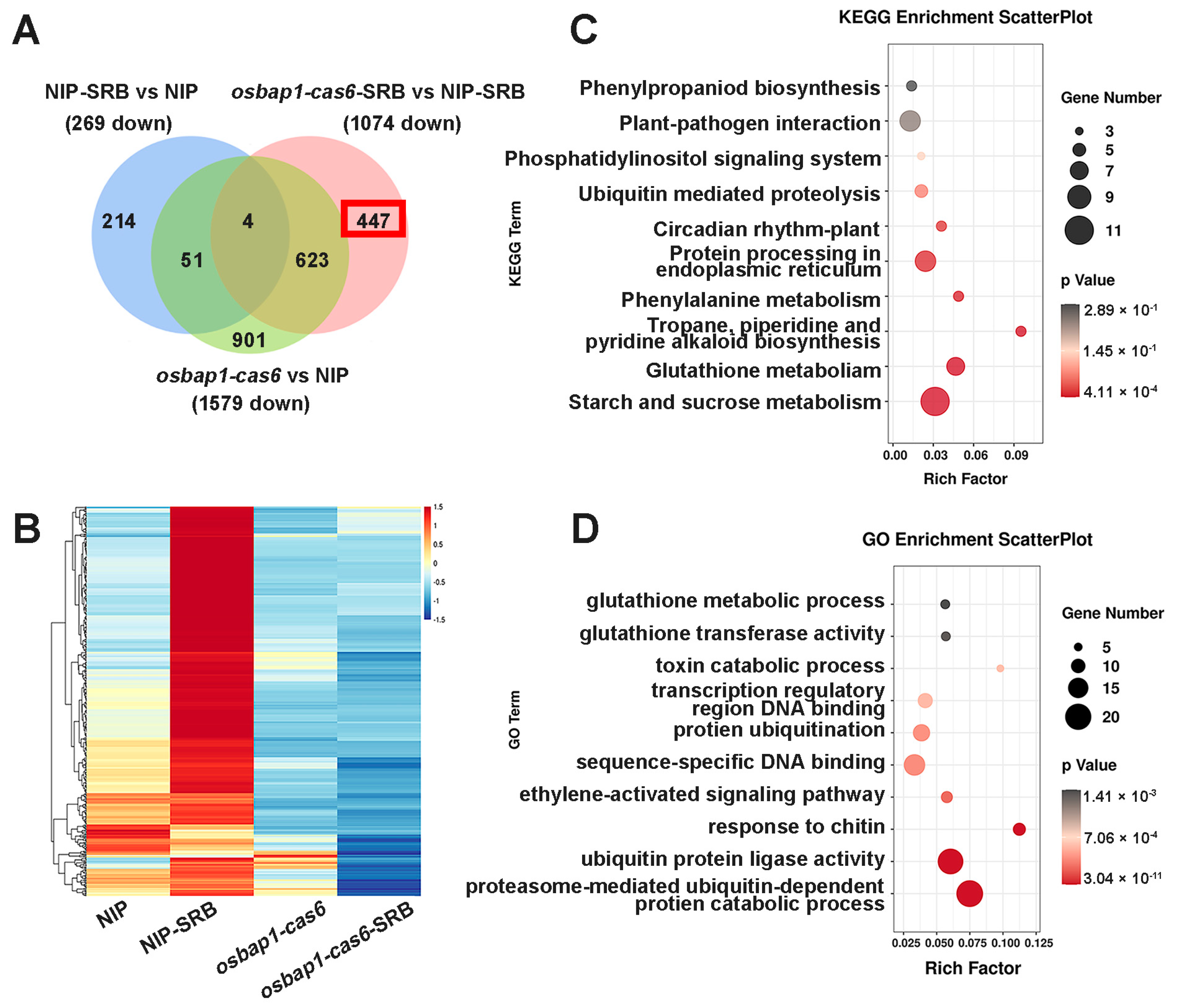 Viruses 15 00973 g005 Viruses 15 00973 g005
