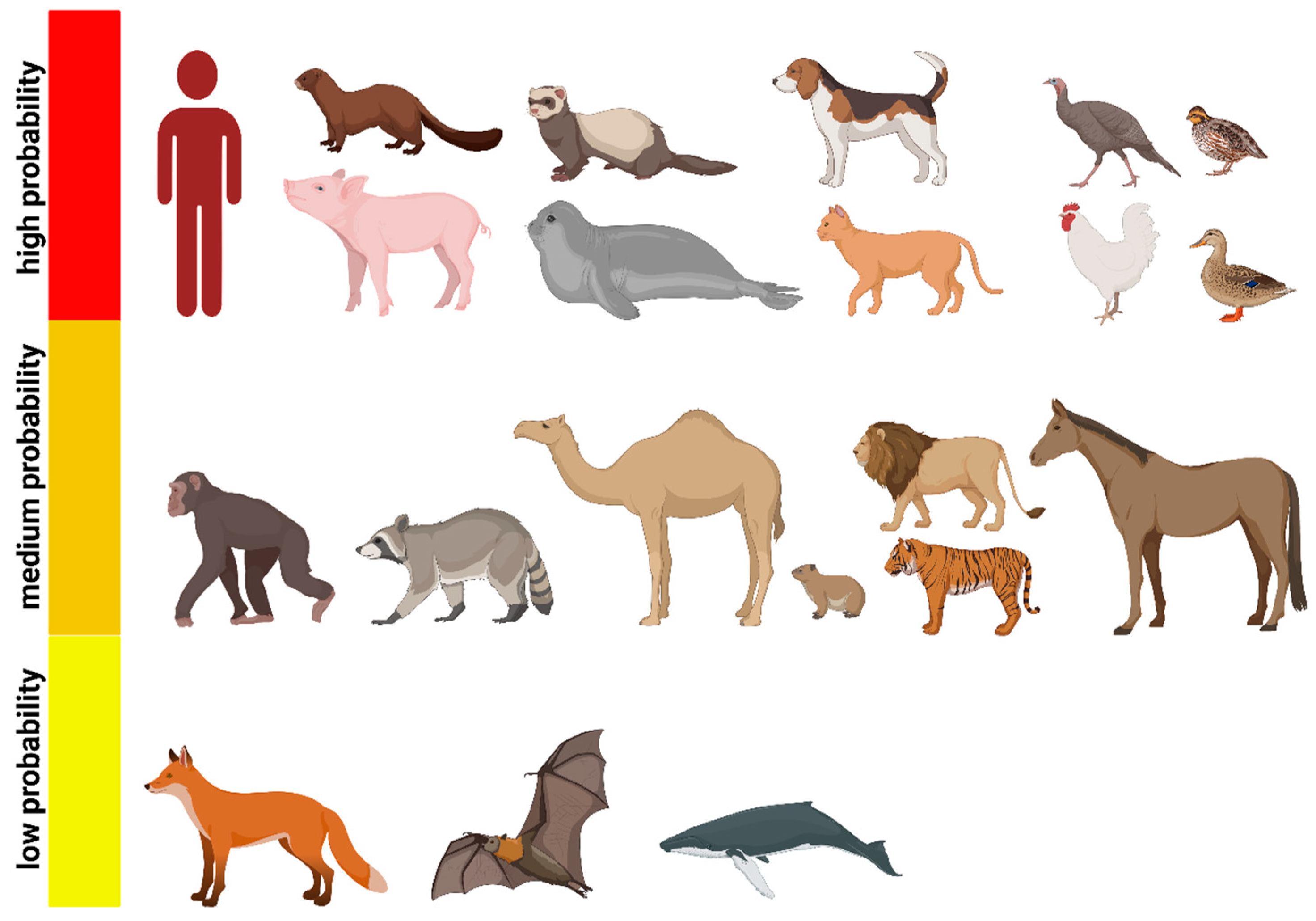 Viruses 15 00980 g003