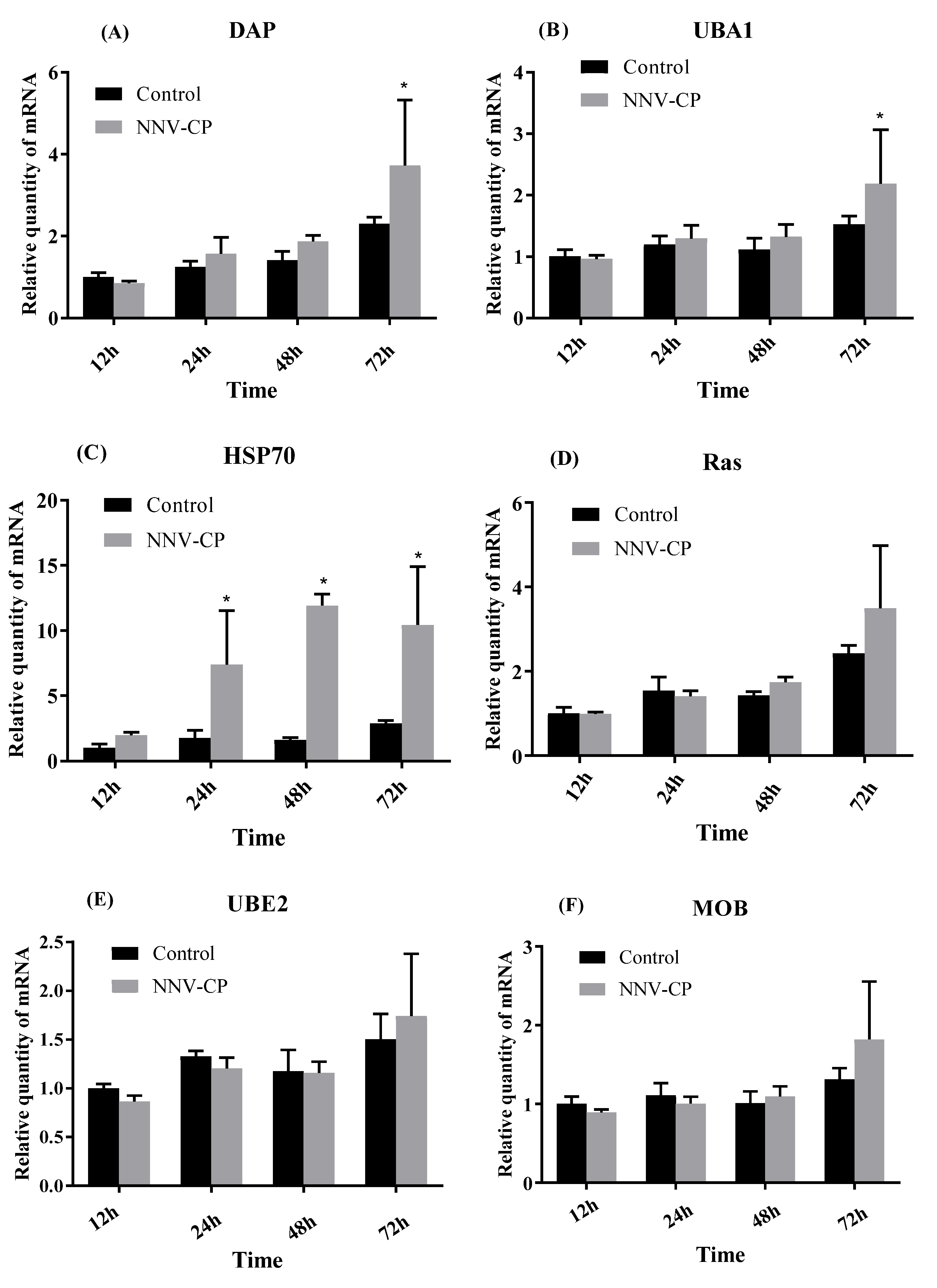Viruses 15 00988 g005 Viruses 15 00988 g005