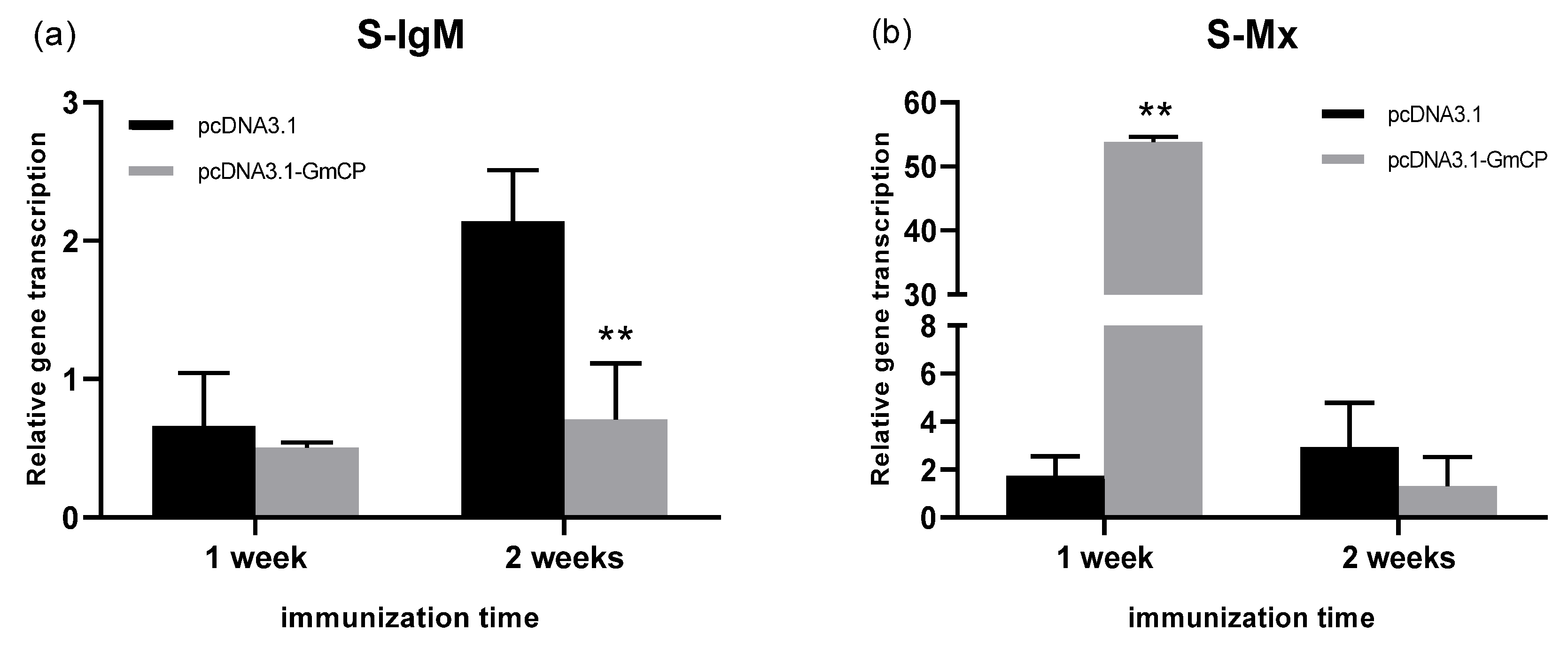 Viruses 15 00988 g007a Viruses 15 00988 g007a