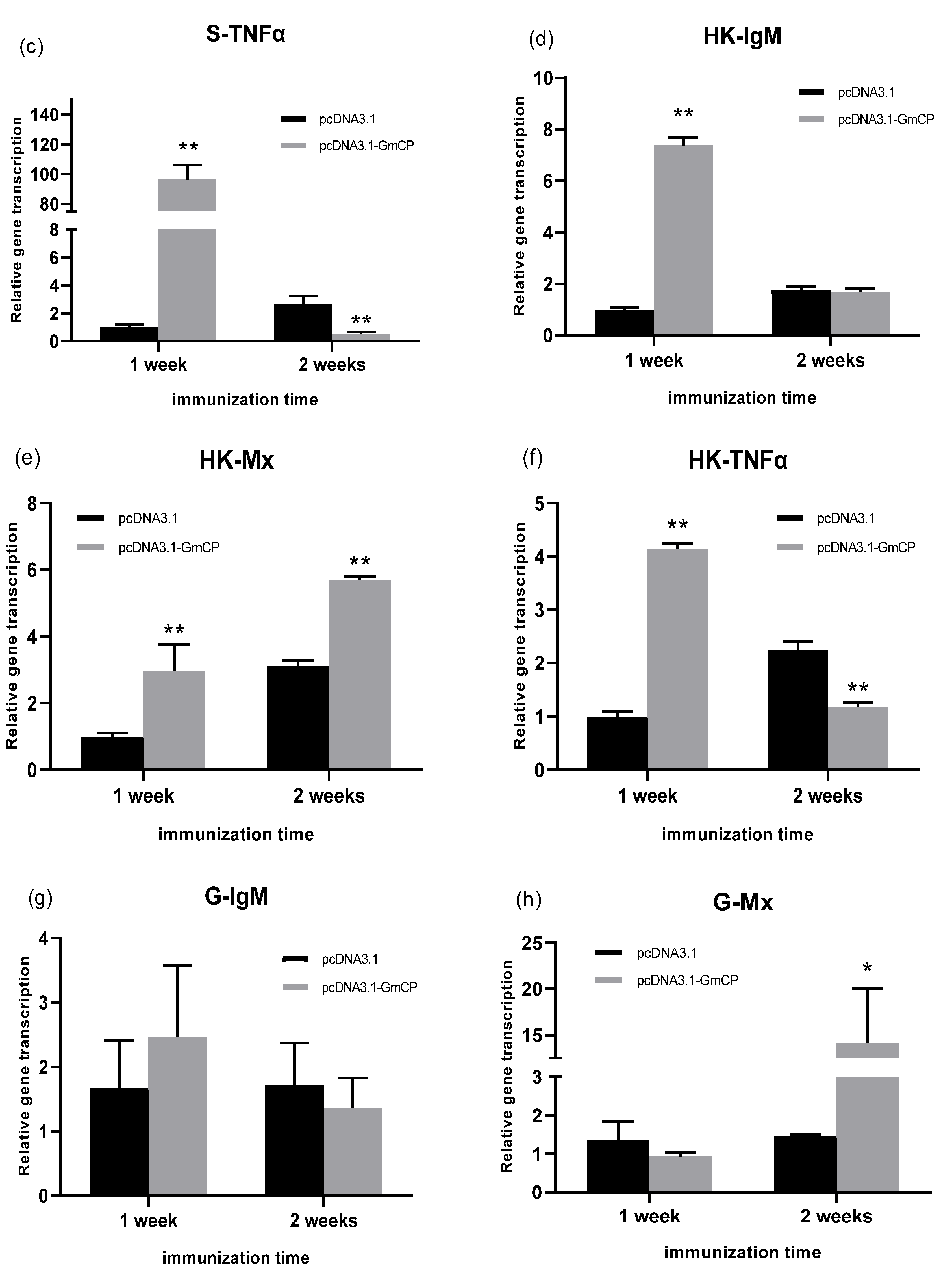 Viruses 15 00988 g007b Viruses 15 00988 g007b