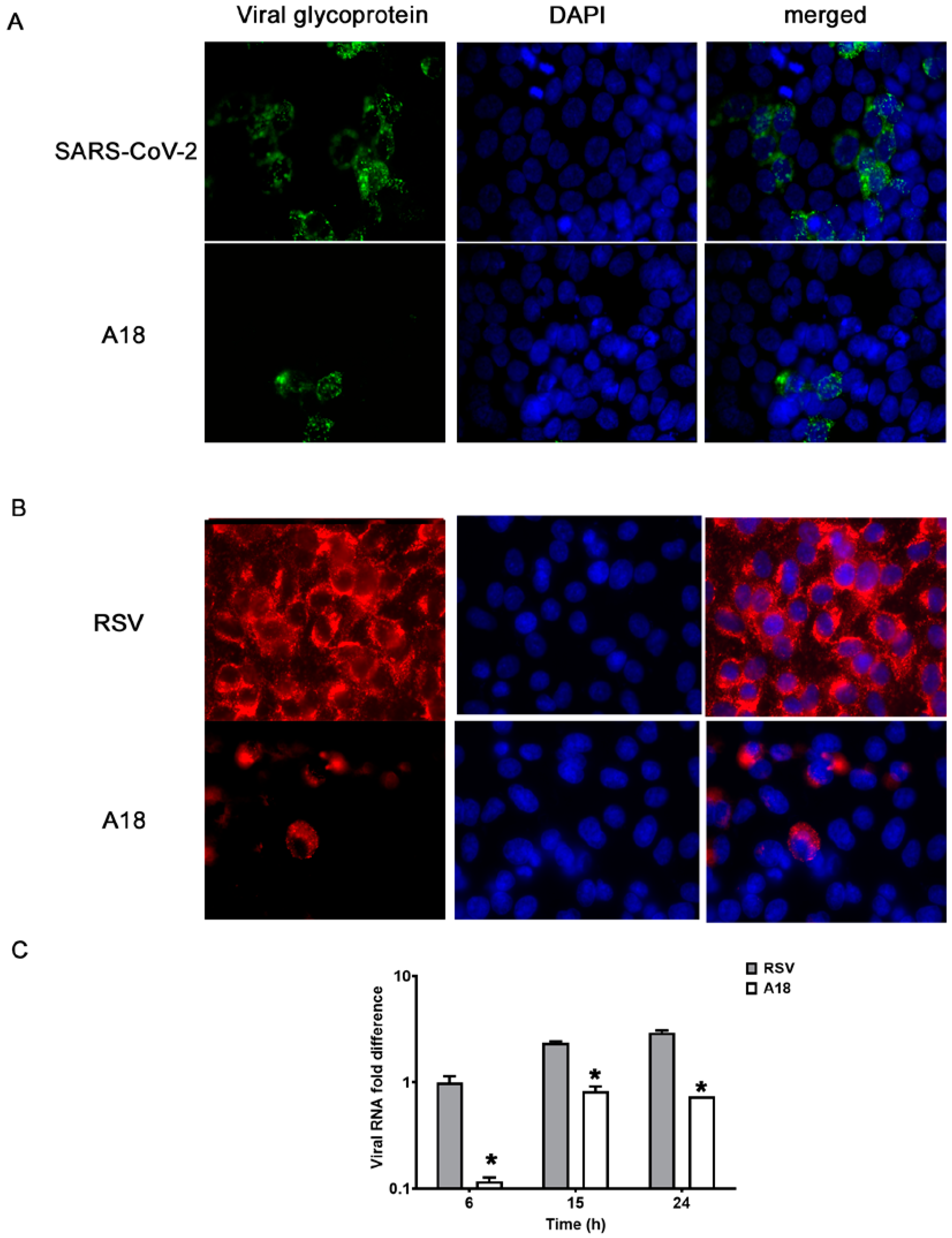 Viruses 15 00989 g001