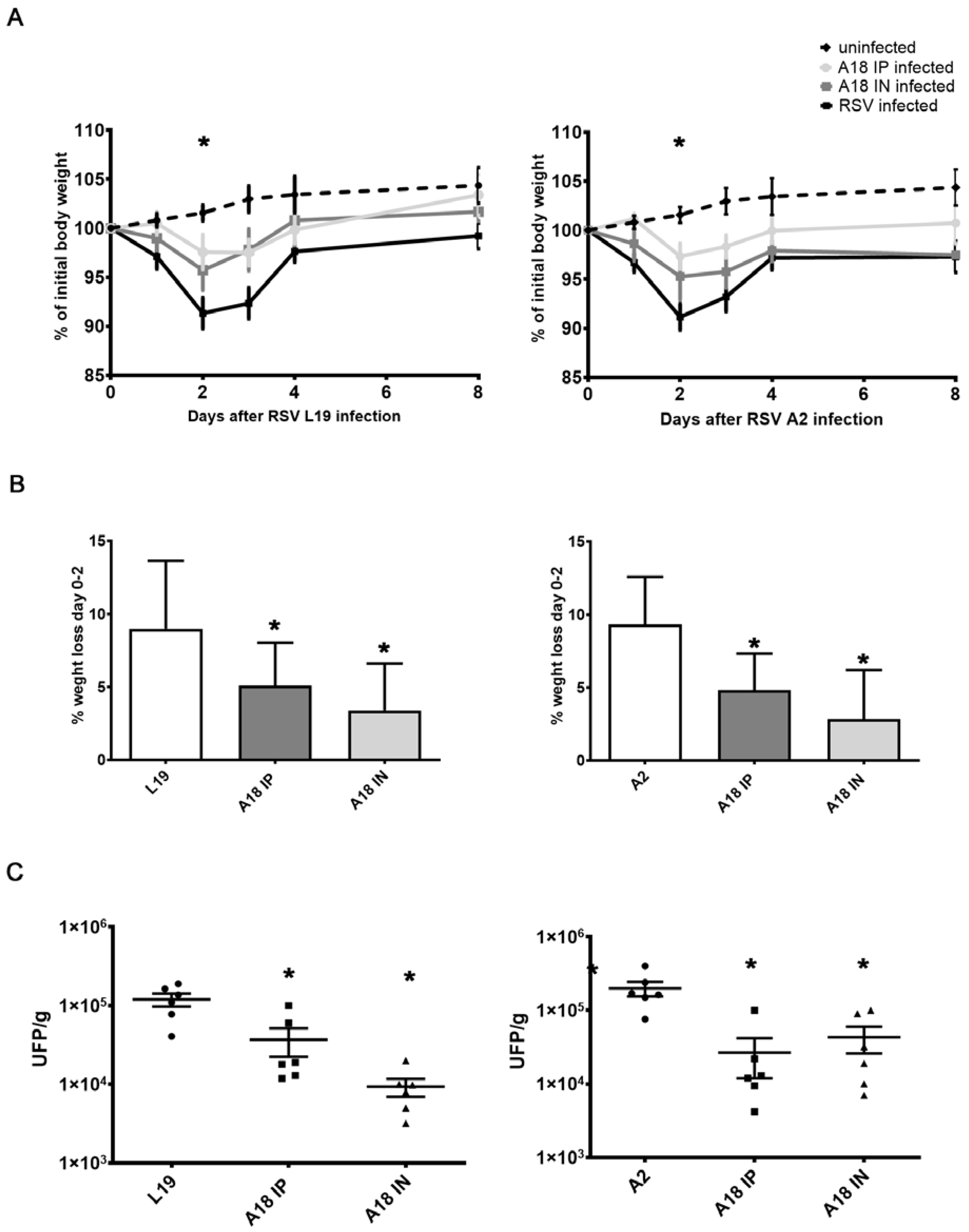 Viruses 15 00989 g005