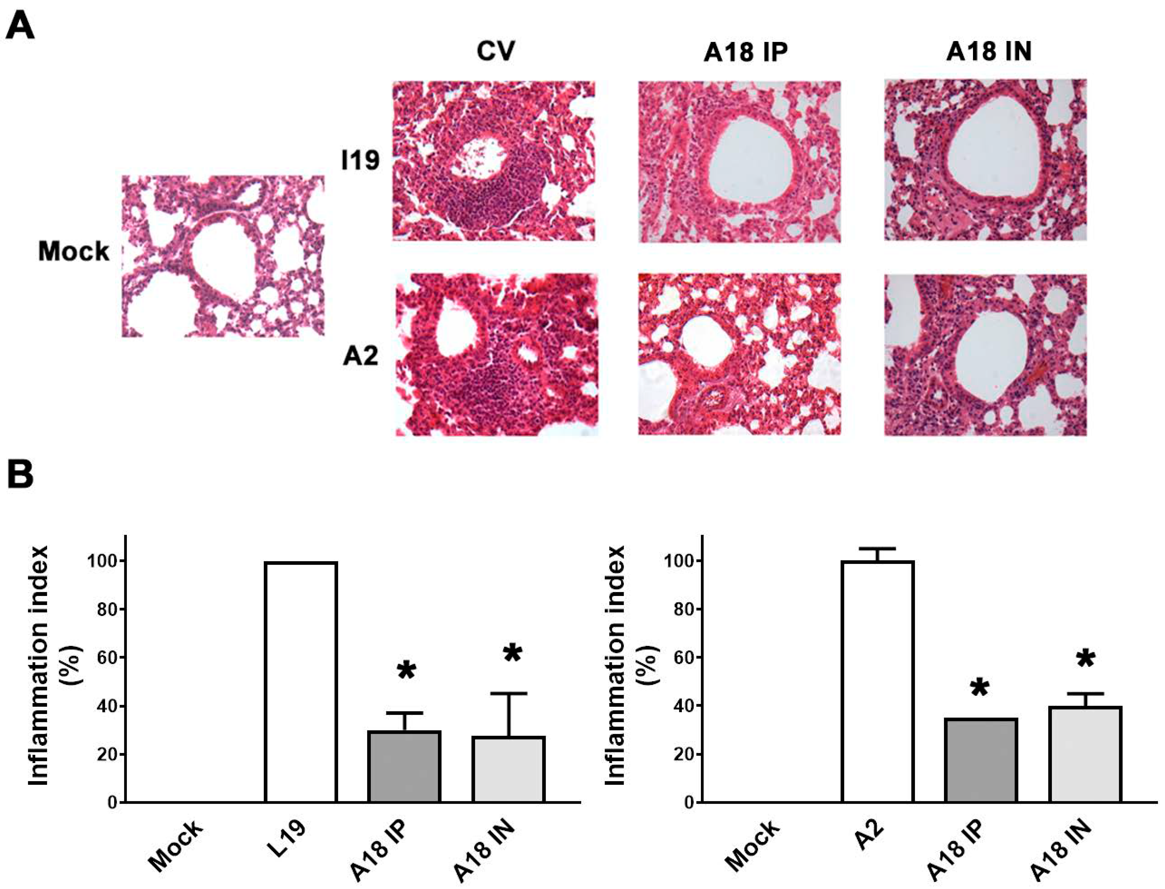 Viruses 15 00989 g007