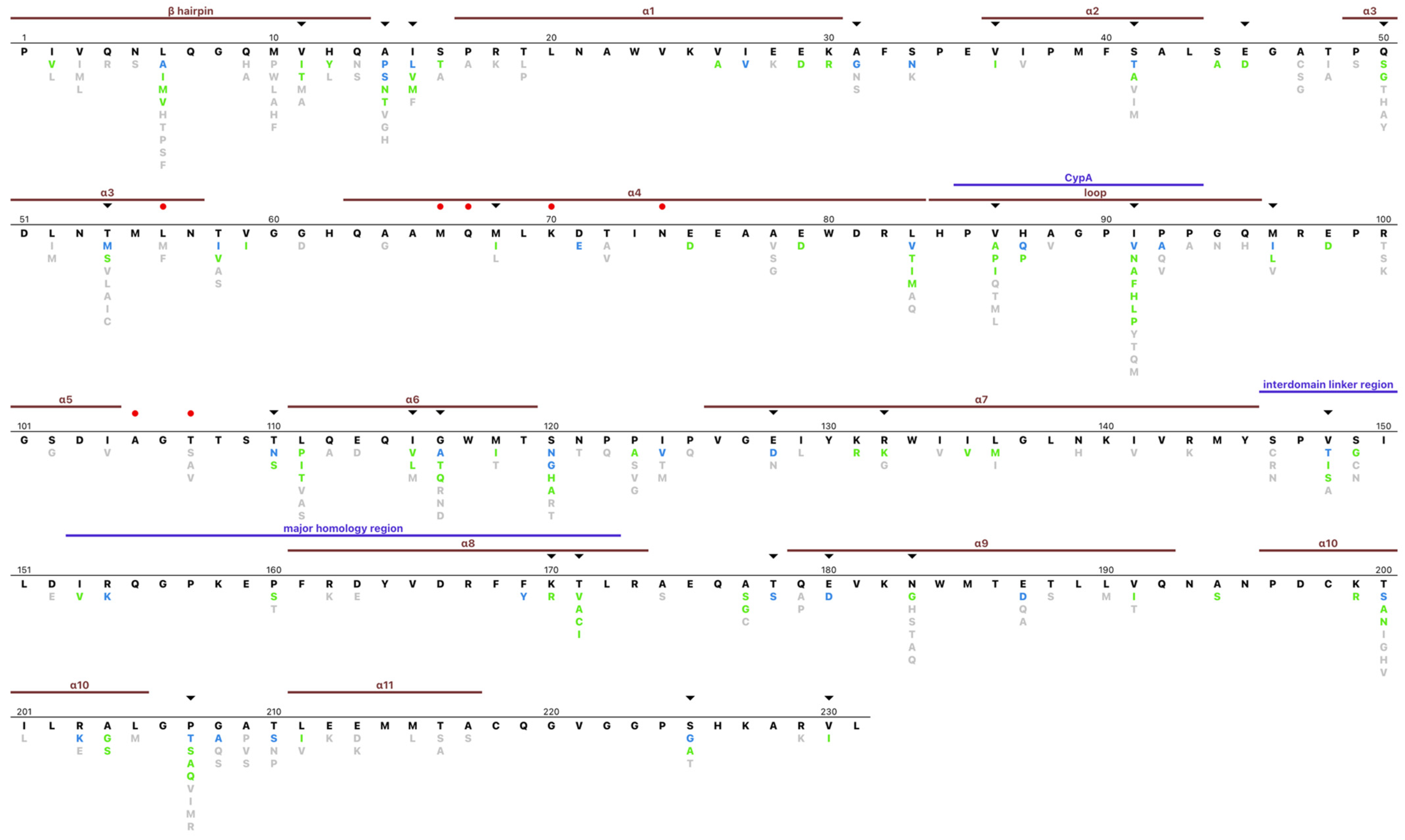 Viruses 15 00992 g003 Viruses 15 00992 g003
