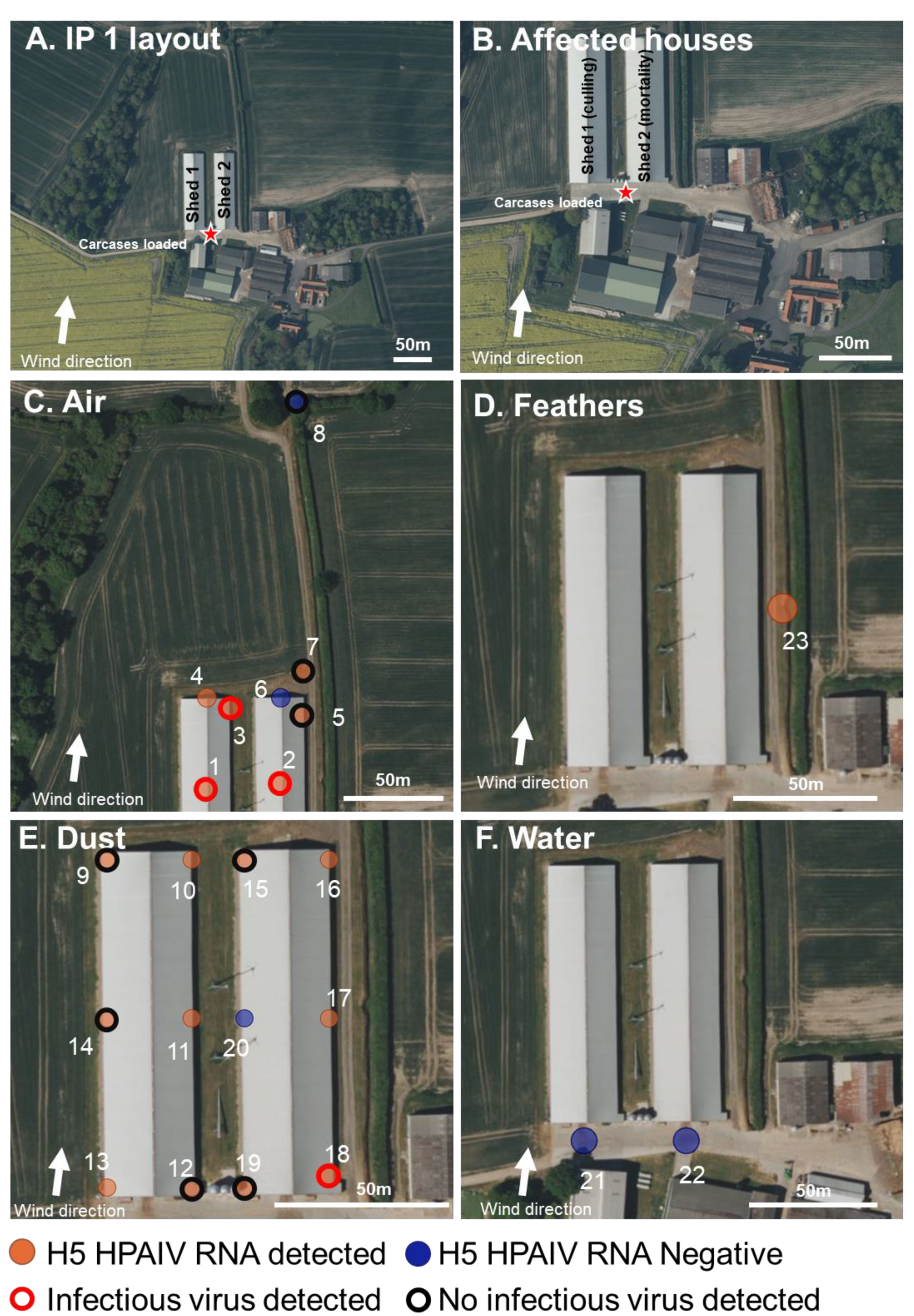 Viruses 15 01002 g001 Viruses 15 01002 g001