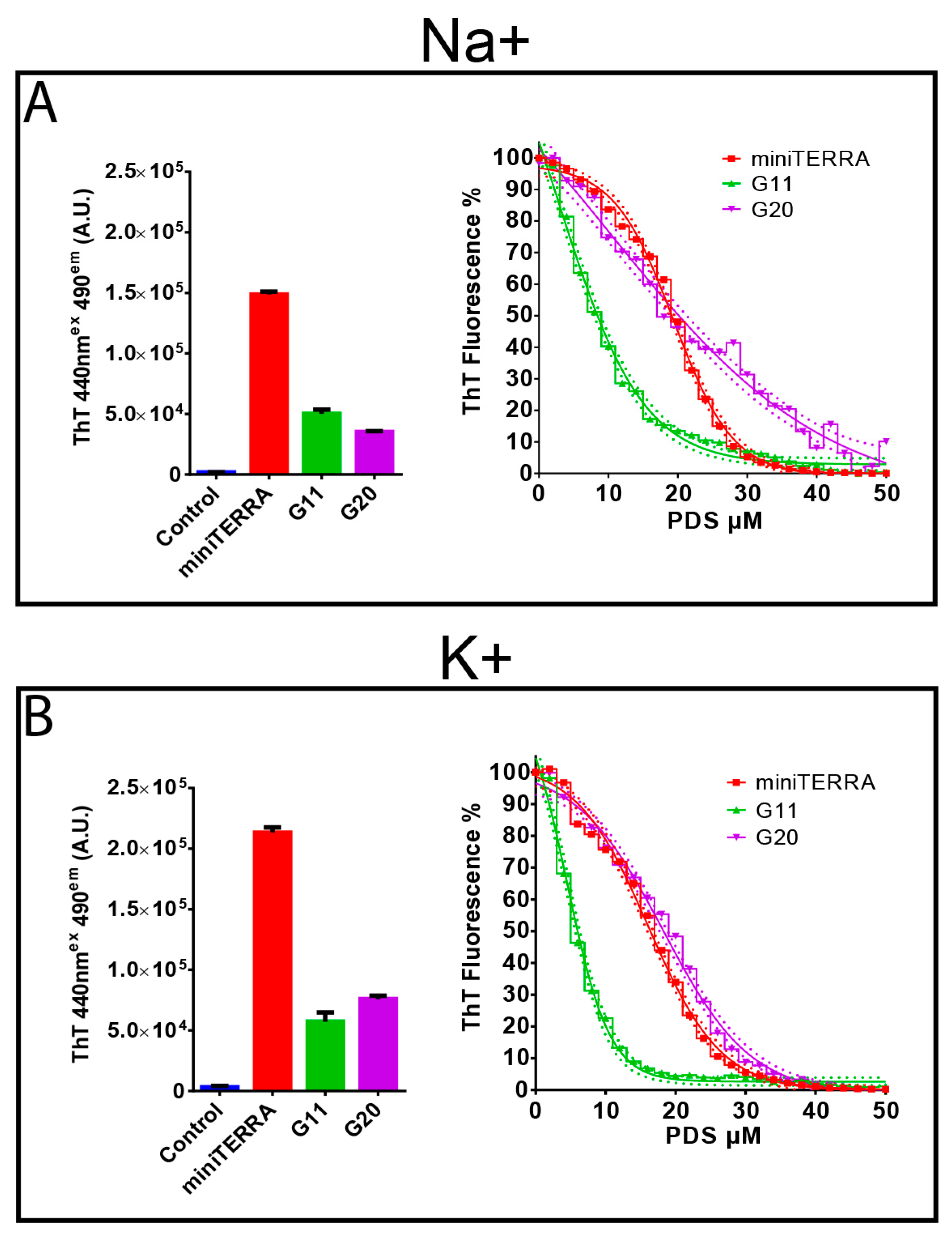 Viruses 15 01003 g002
