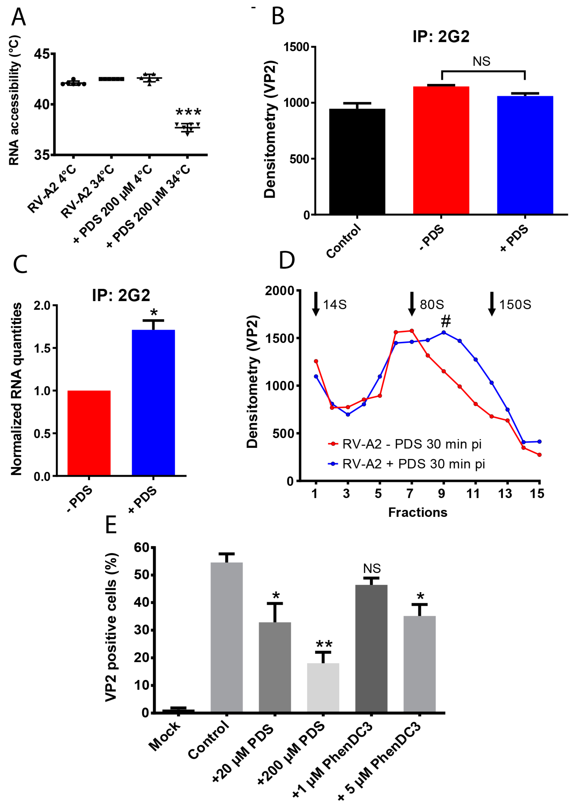 Viruses 15 01003 g003