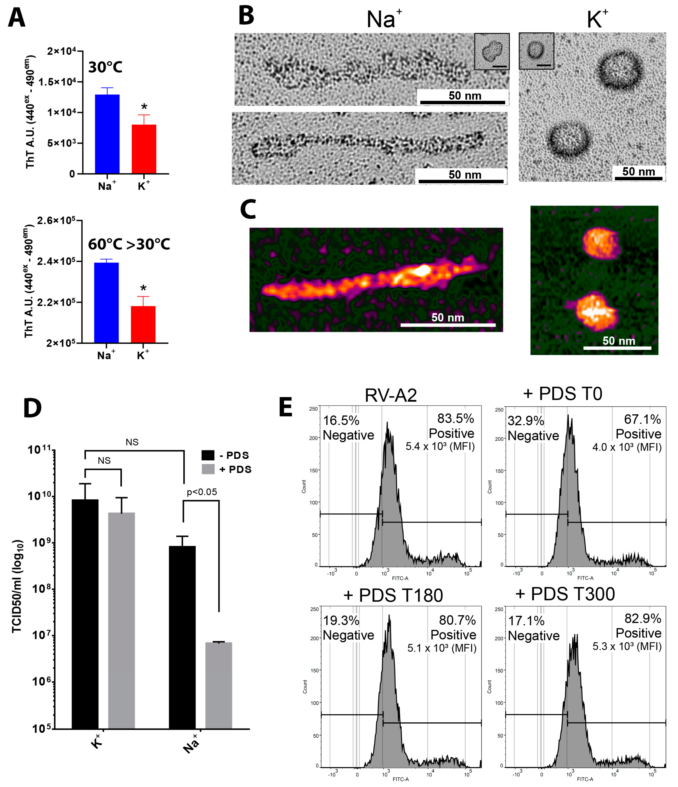 Viruses 15 01003 g004