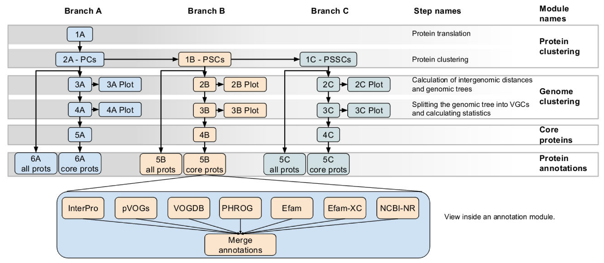 Viruses 15 01007 g001 Viruses 15 01007 g001