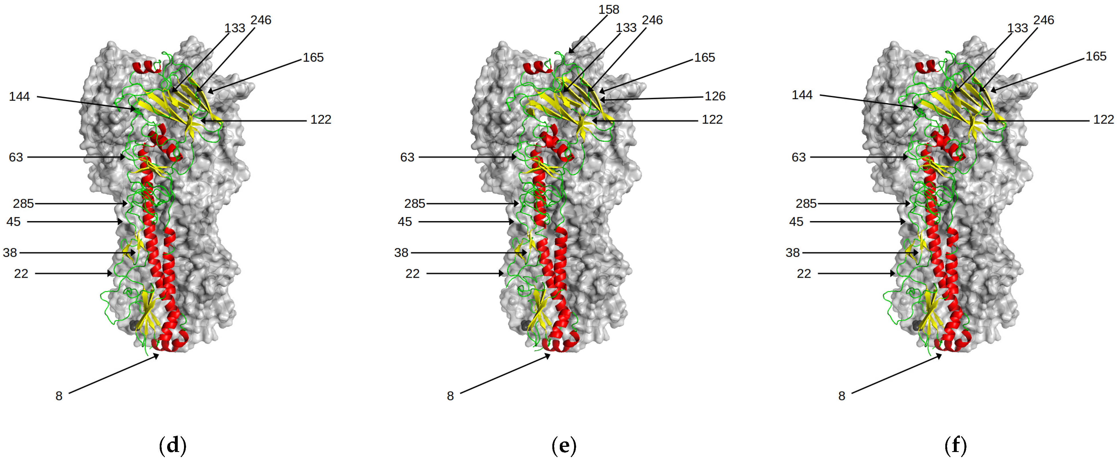 Viruses 15 01008 g006b Viruses 15 01008 g006b