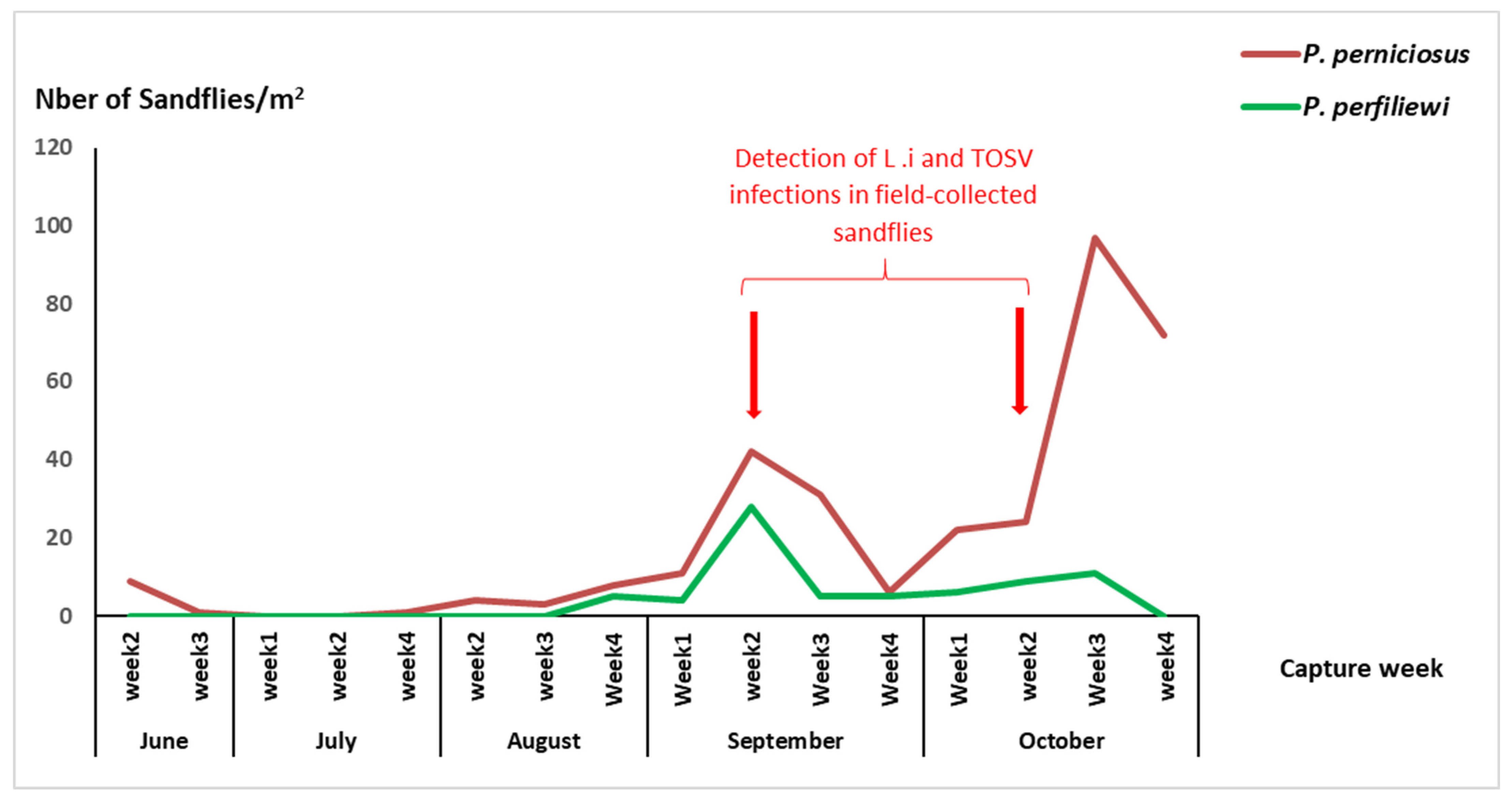 Viruses 15 01012 g001