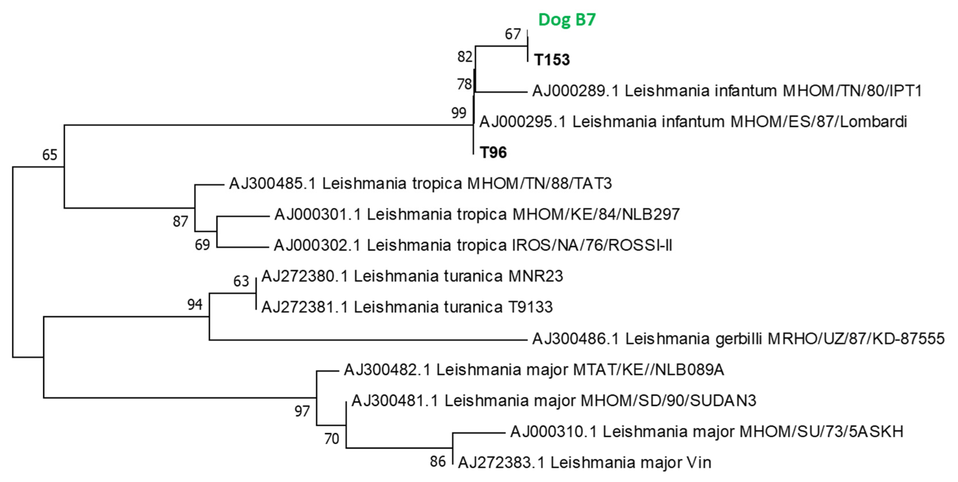 Viruses 15 01012 g002
