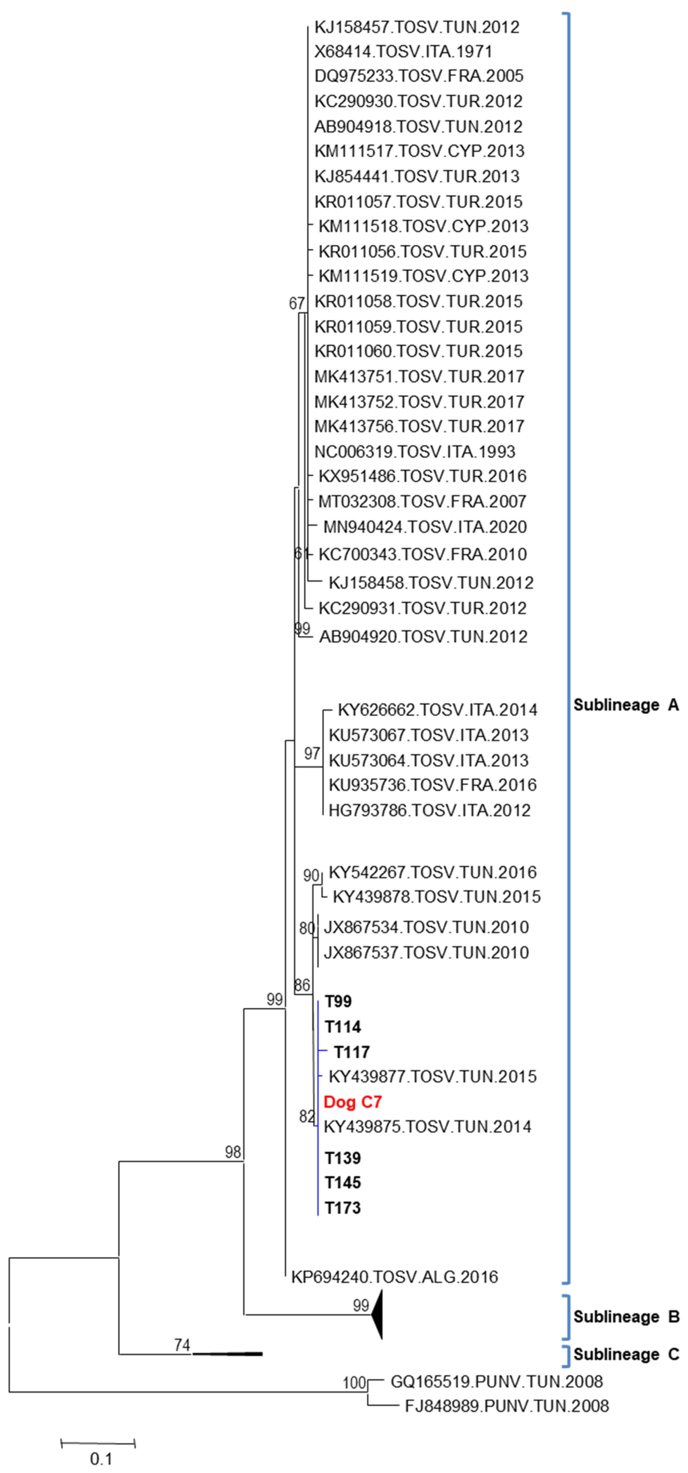 Viruses 15 01012 g003