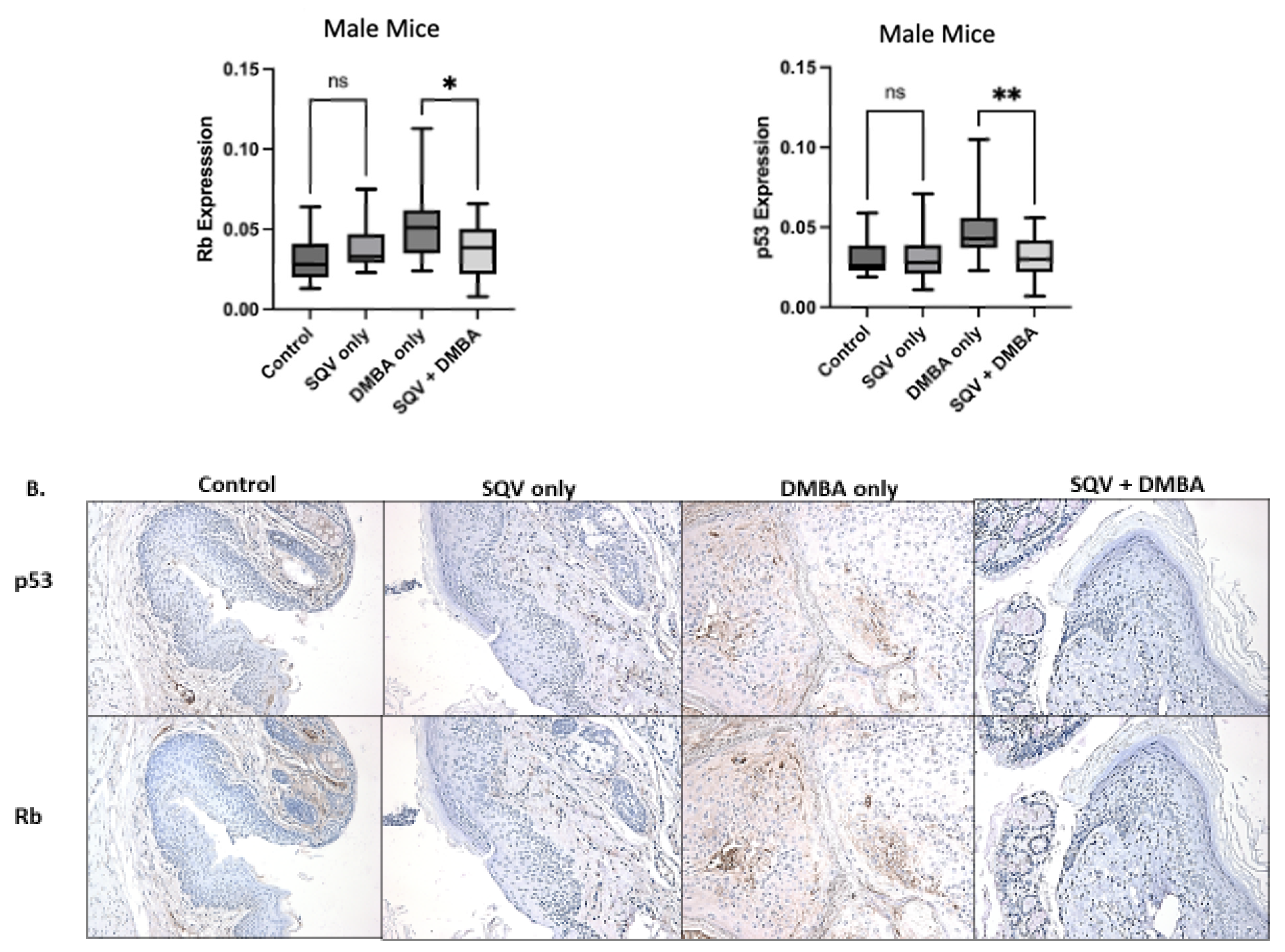 Viruses 15 01013 g005b Viruses 15 01013 g005b