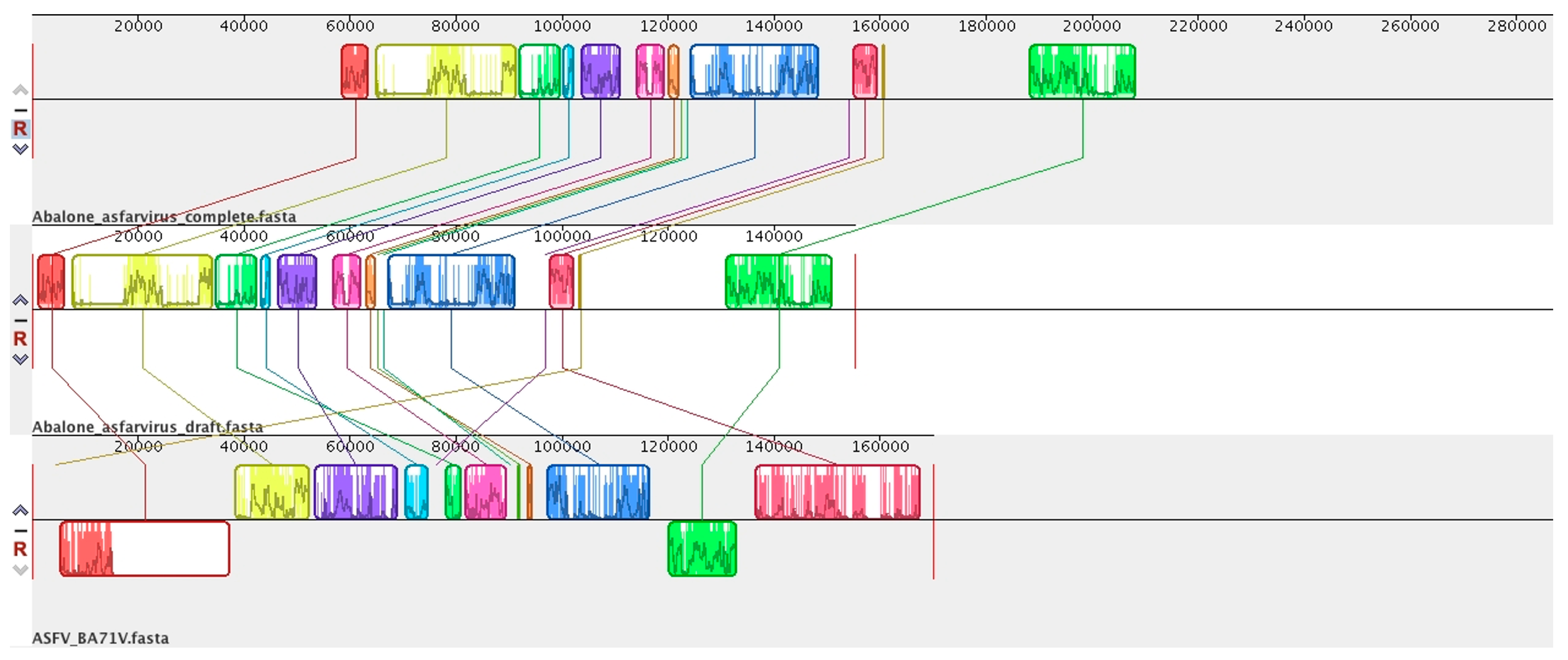 Viruses 15 01015 g001 Viruses 15 01015 g001