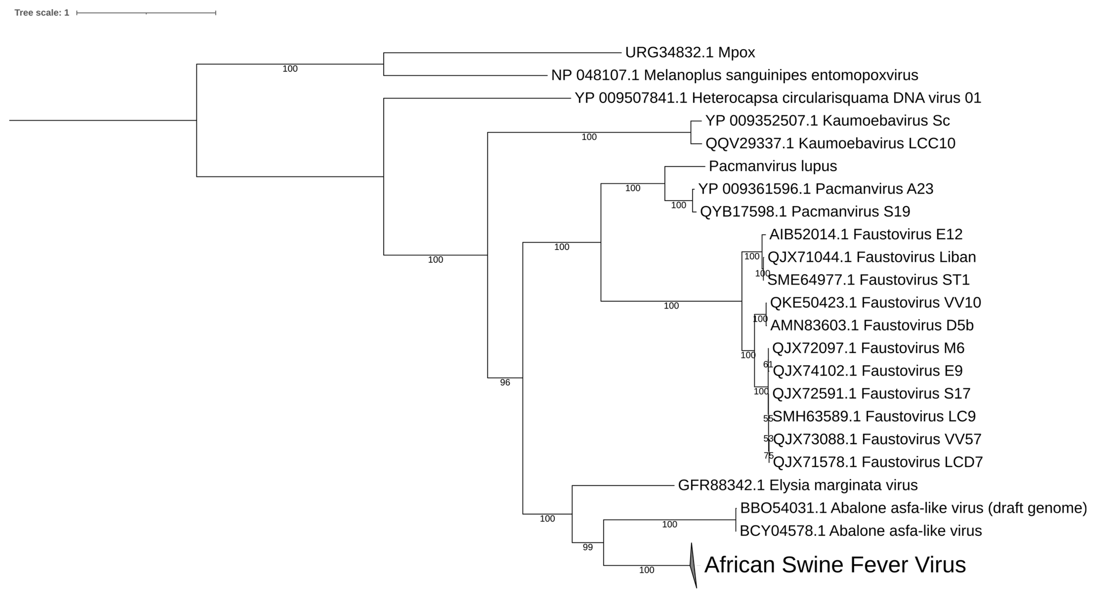 Viruses 15 01015 g002 Viruses 15 01015 g002
