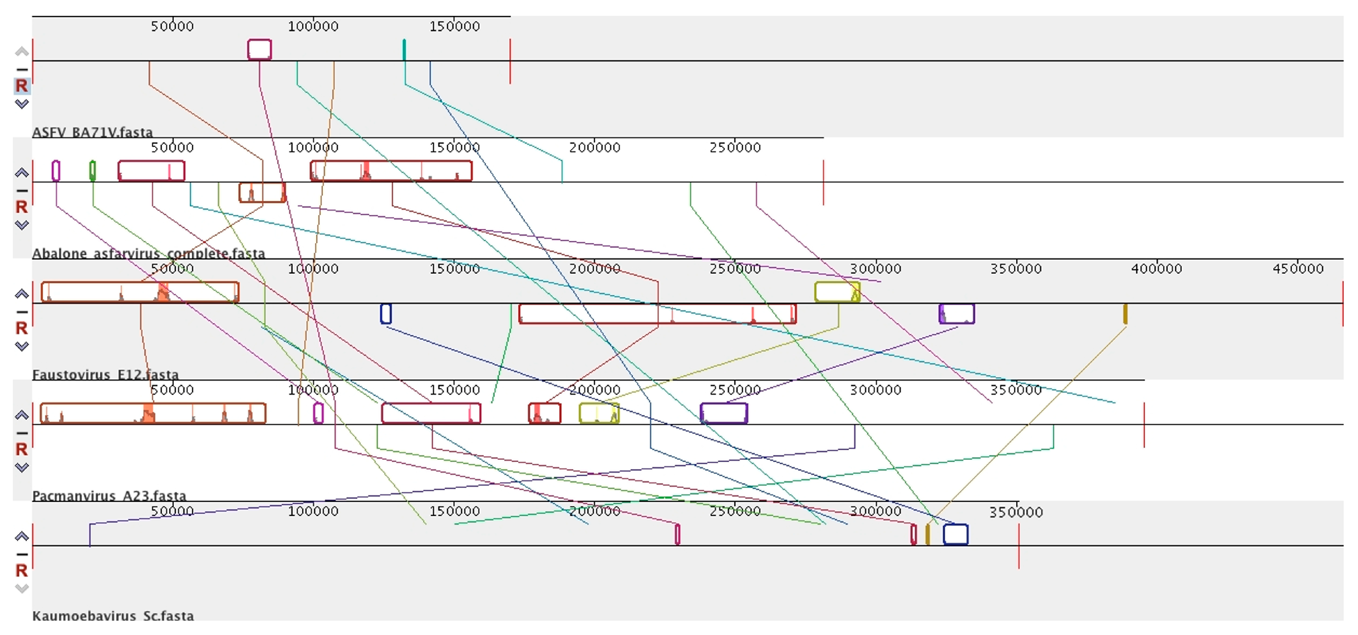 Viruses 15 01015 g003 Viruses 15 01015 g003