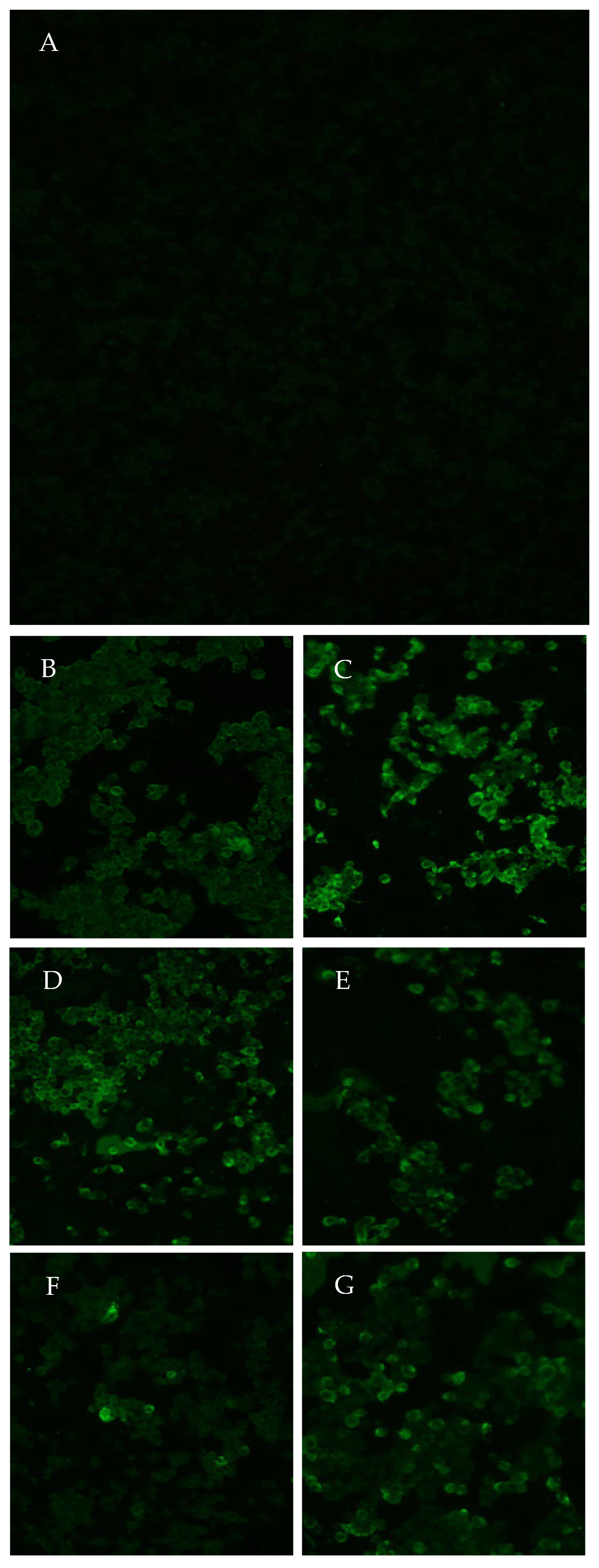 Viruses 15 01019 g003 Viruses 15 01019 g003