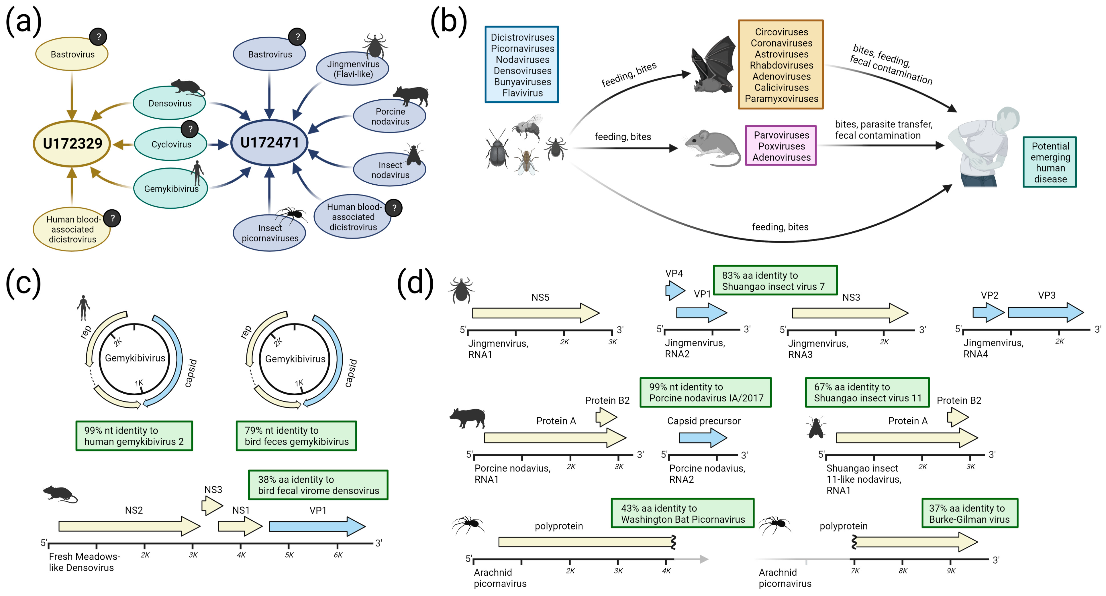 Viruses 15 01022 g002 Viruses 15 01022 g002
