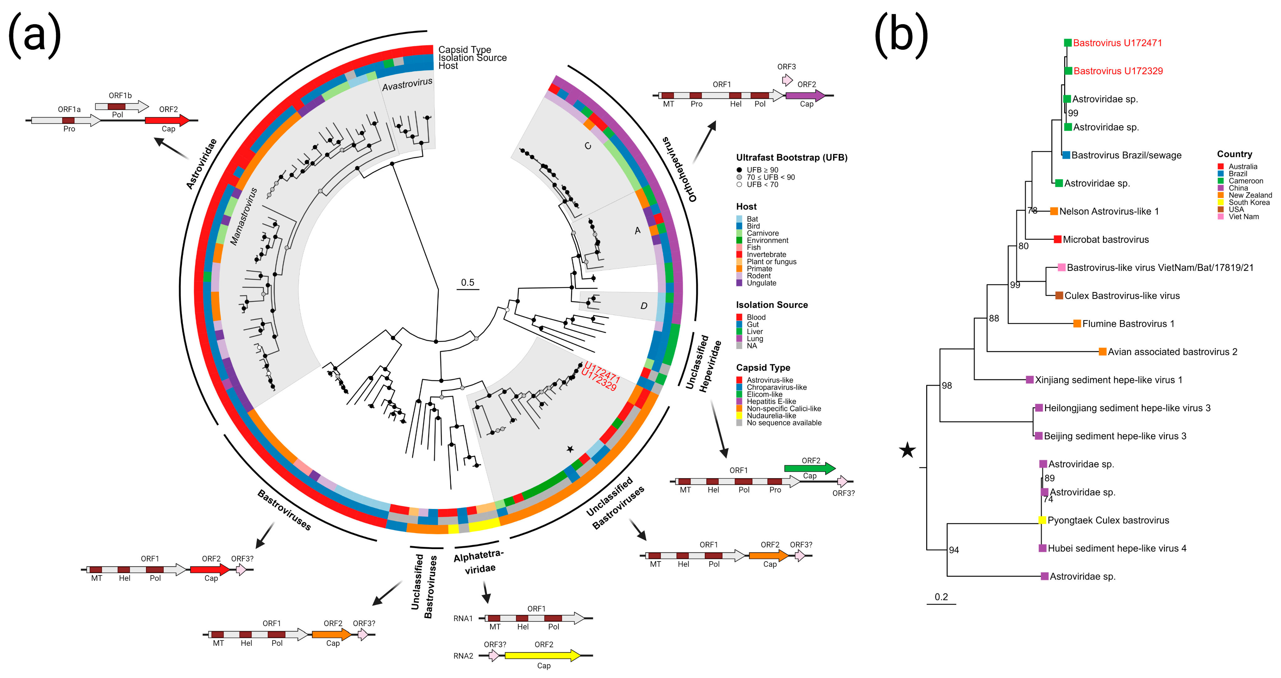 Viruses 15 01022 g004 Viruses 15 01022 g004