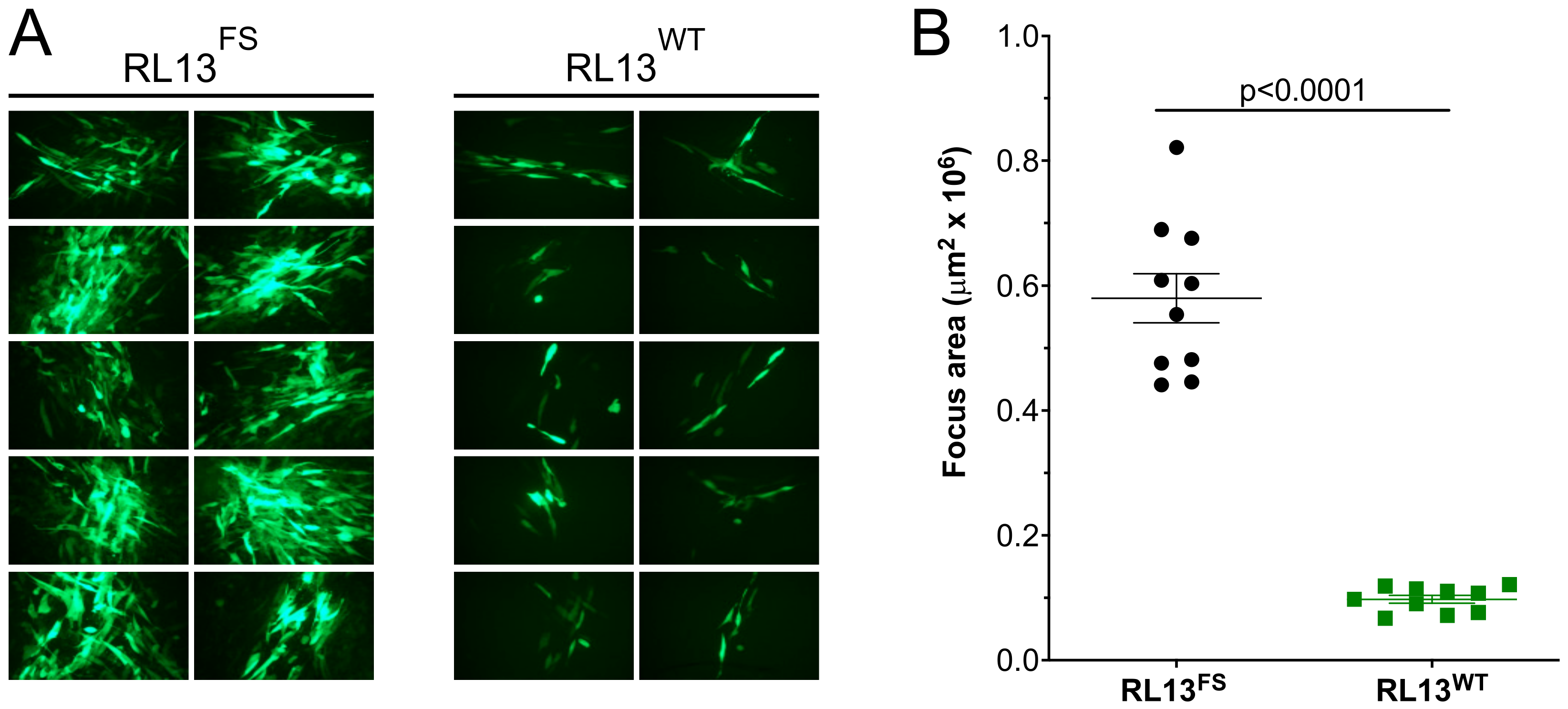 Viruses 15 01023 g002 Viruses 15 01023 g002