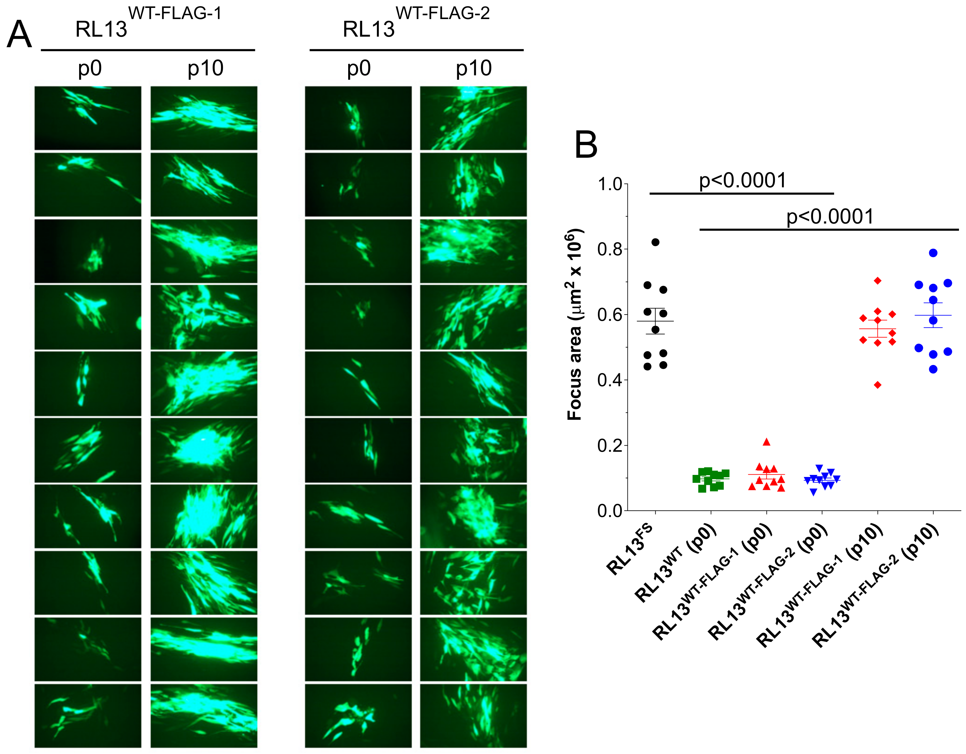 Viruses 15 01023 g003 Viruses 15 01023 g003