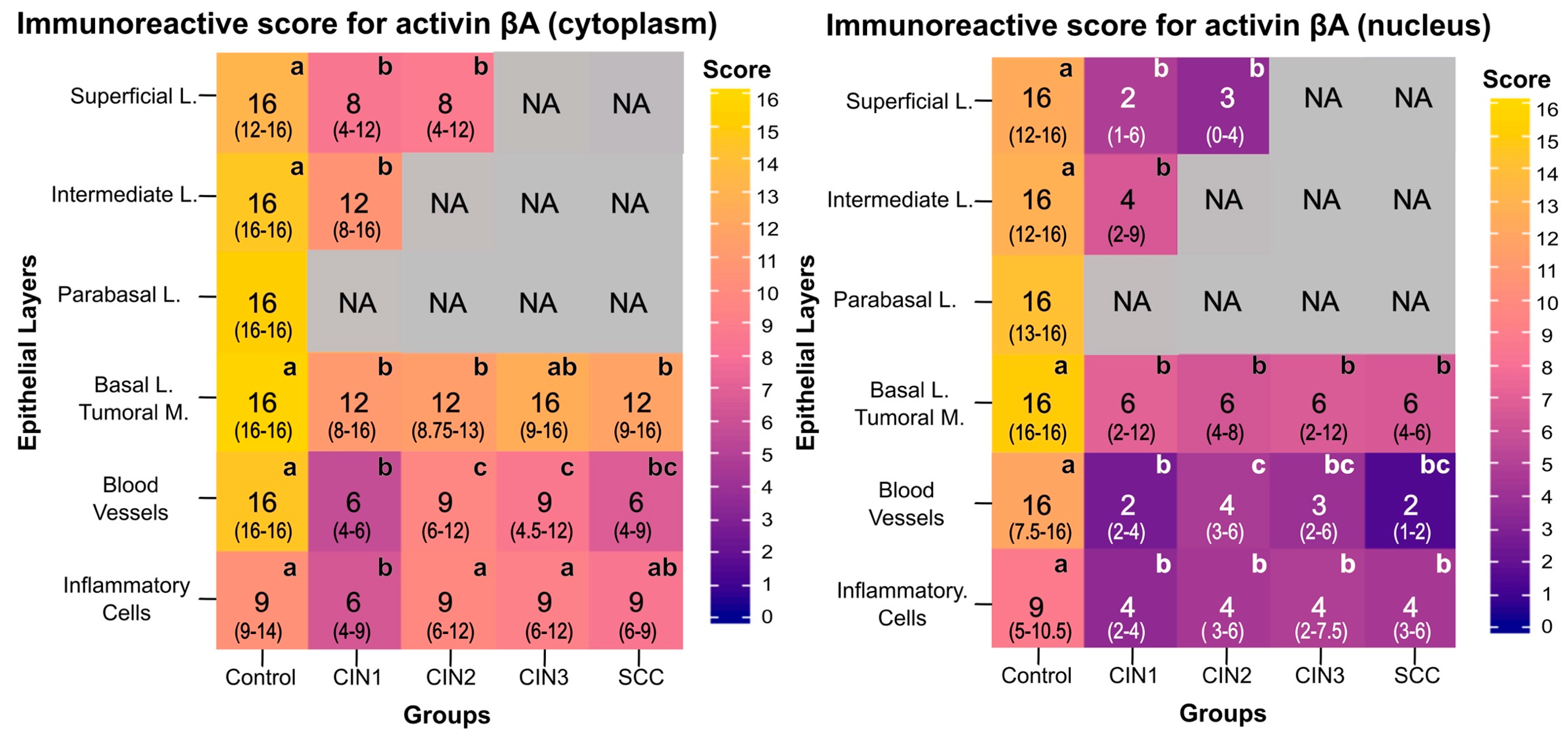 Viruses 15 01031 g003 Viruses 15 01031 g003