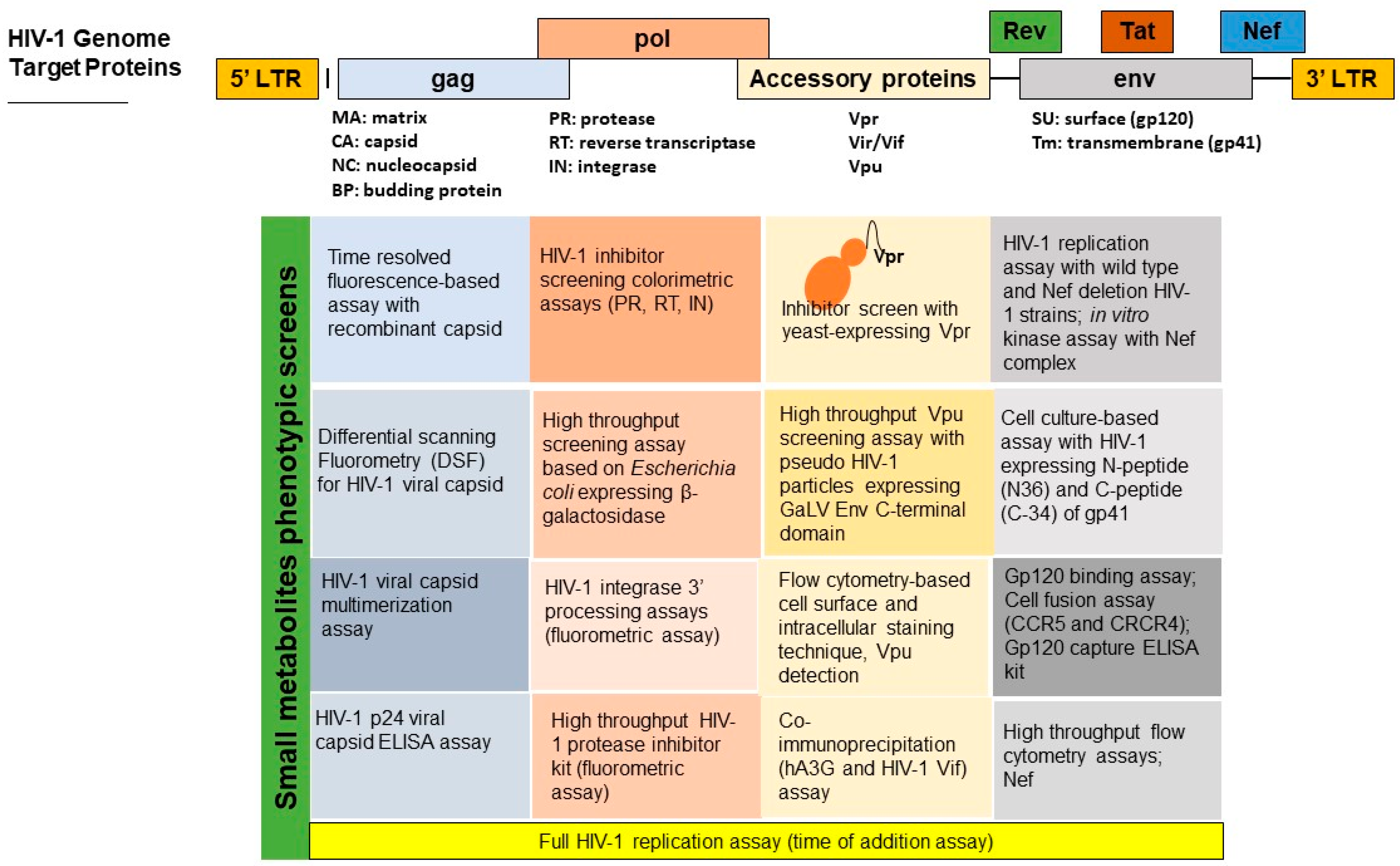 Developments in Exploring Fungal Secondary Metabolites as Antiviral Compounds and Advances in HIV-1 Inhibitor Screening Assays Developments in Exploring Fungal Secondary Metabolites as Antiviral Compounds and Advances in HIV-1 Inhibitor Screening Assays