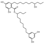 Viruses 15 01039 i012