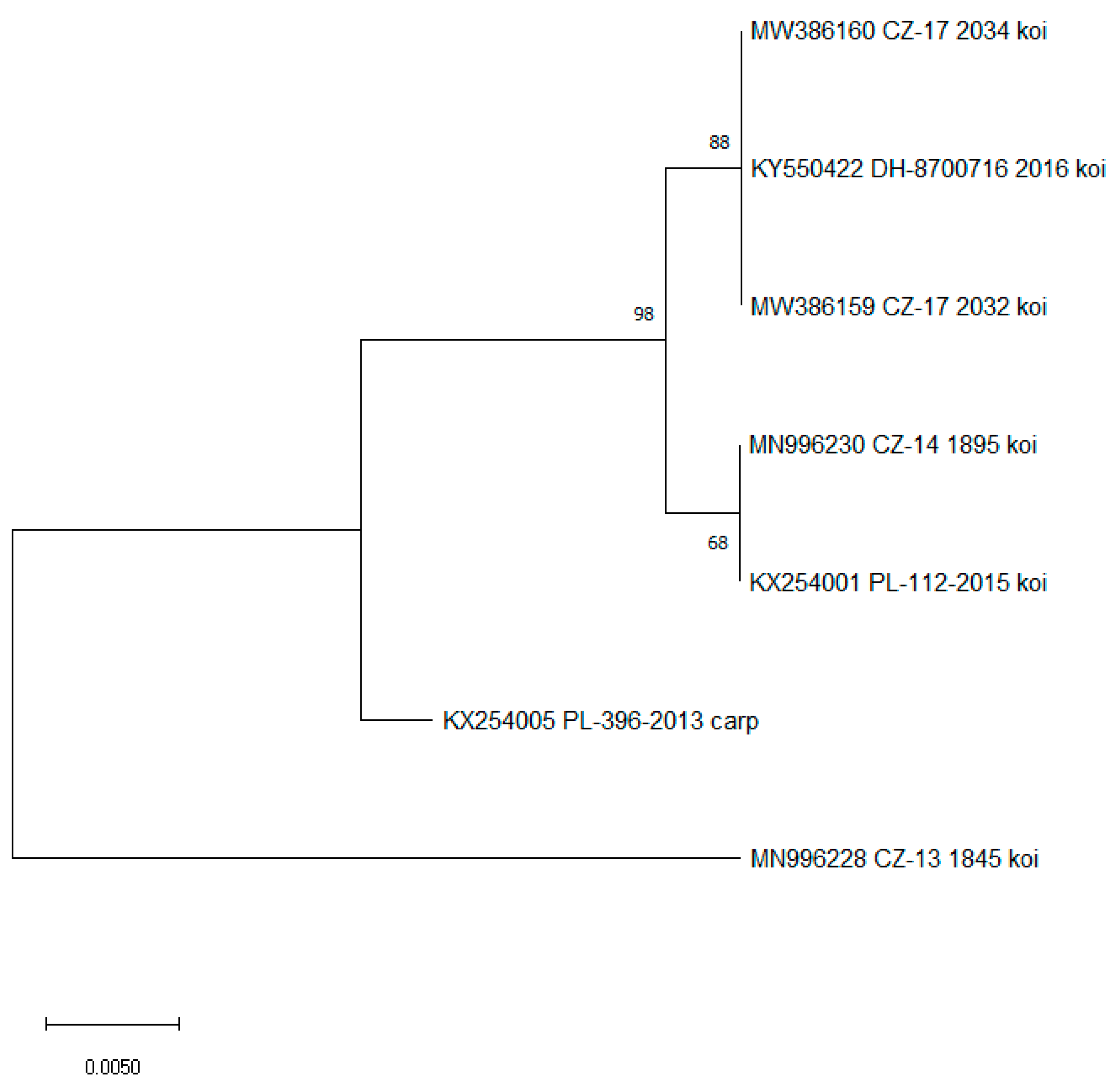 Viruses 15 01044 g001 Viruses 15 01044 g001