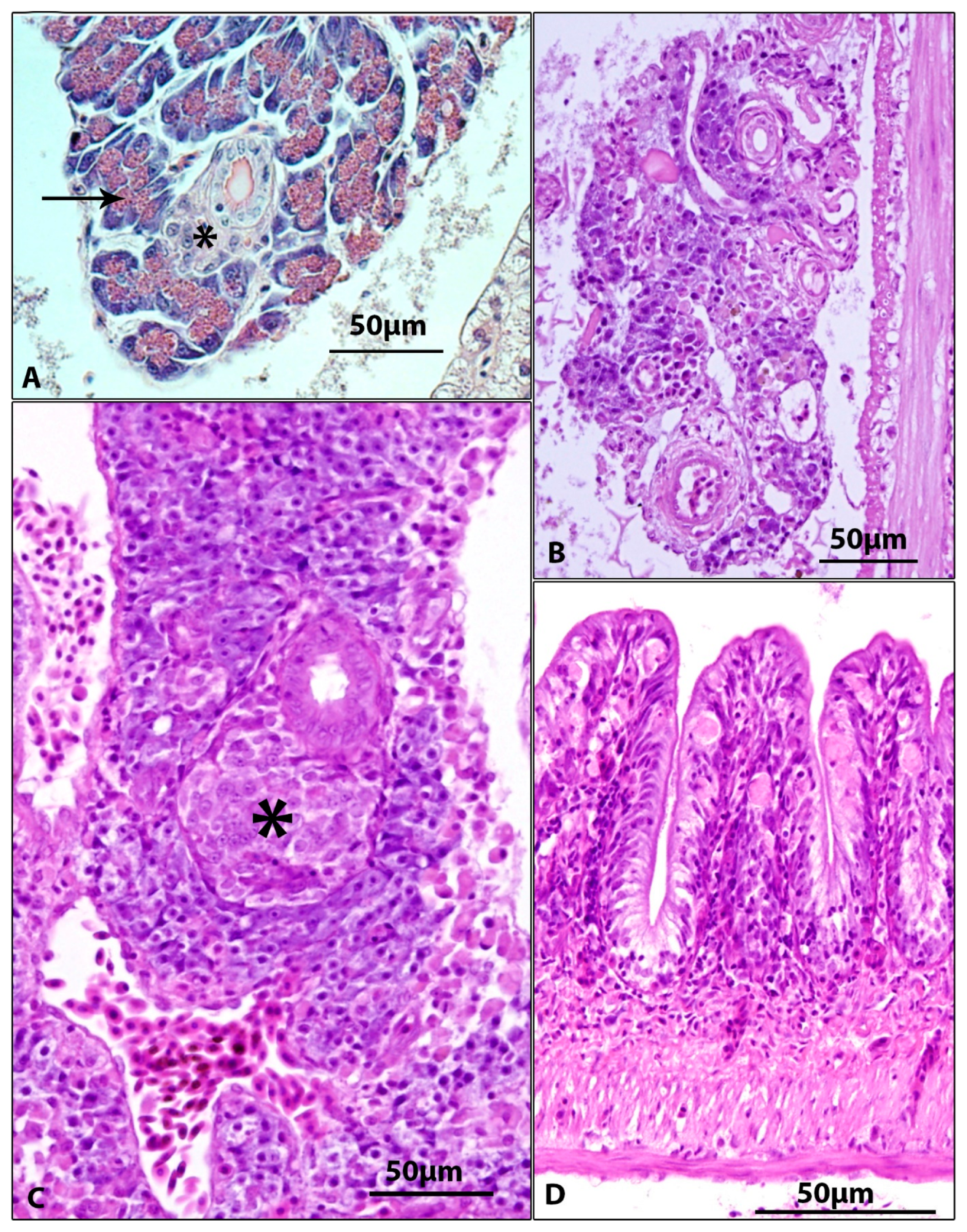 Viruses 15 01044 g004 Viruses 15 01044 g004
