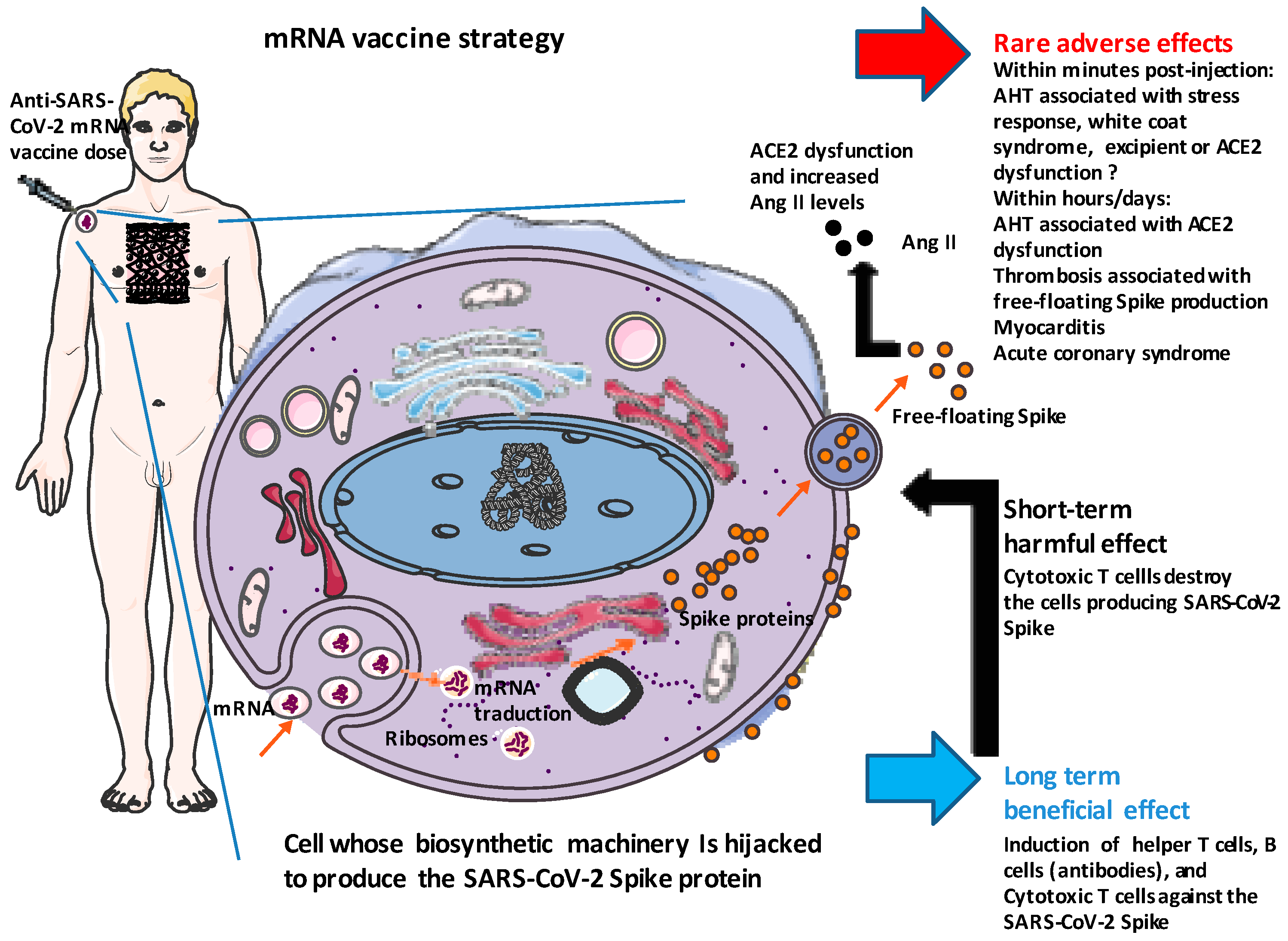 Viruses 15 01045 g002 Viruses 15 01045 g002