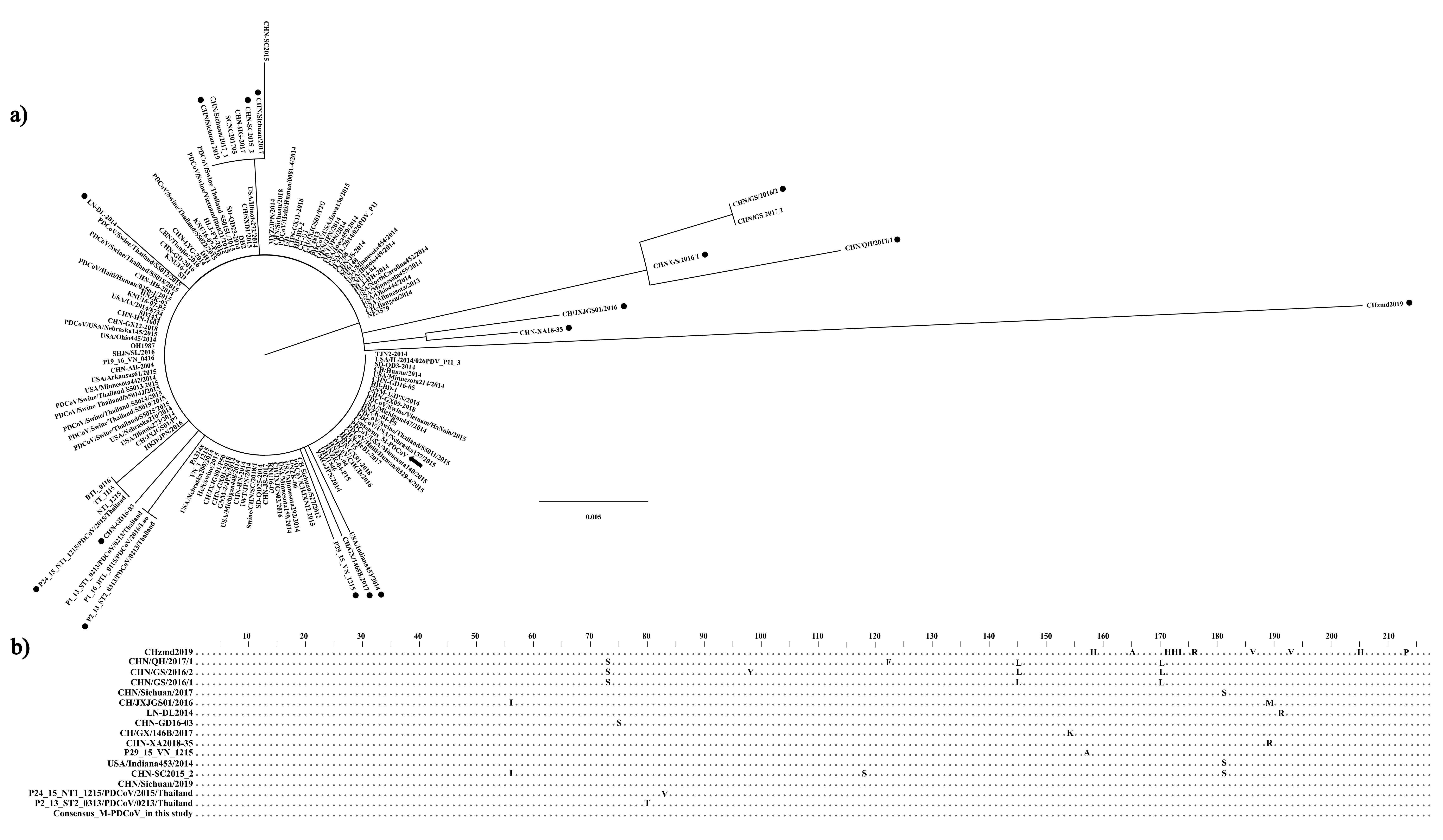 Viruses 15 01049 g001
