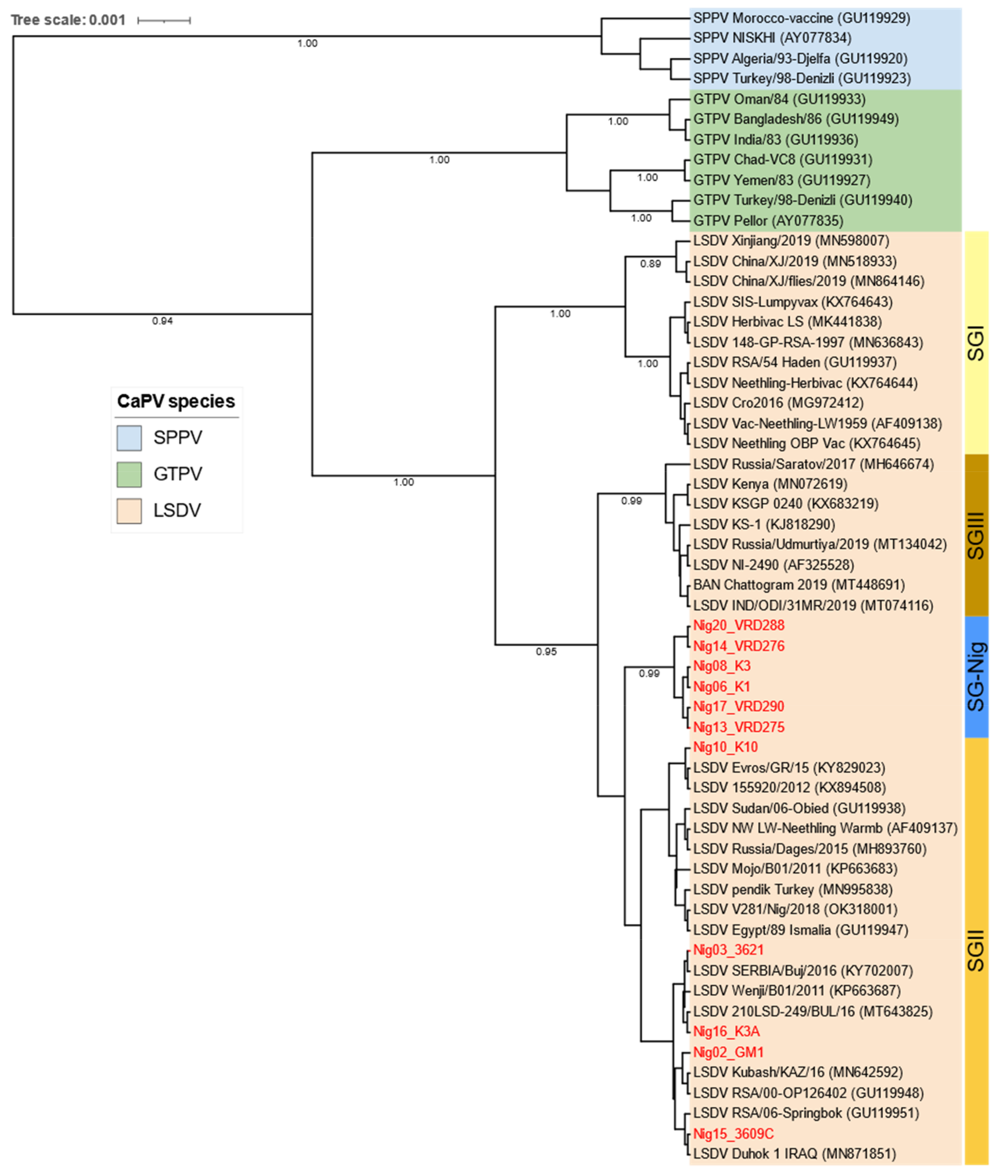 Viruses 15 01051 g004