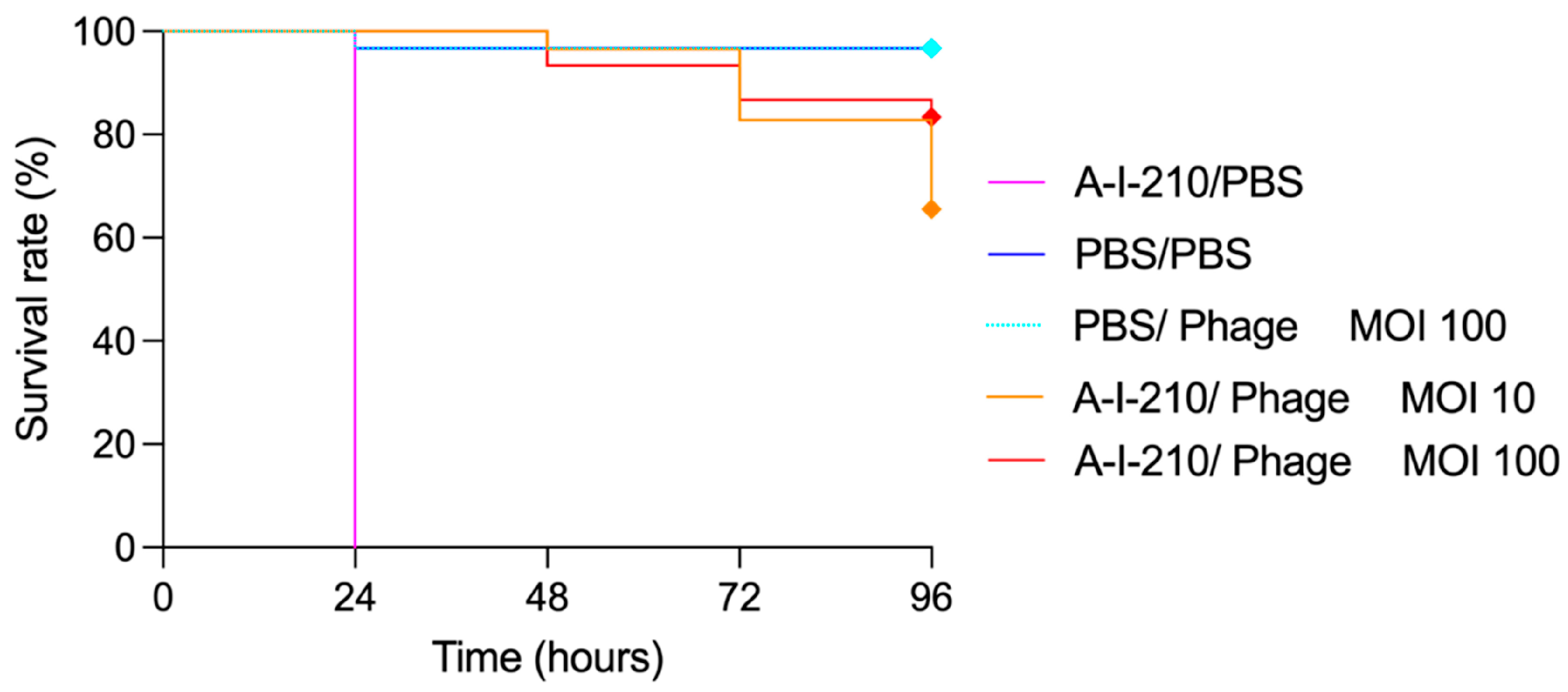 Viruses 15 01053 g006