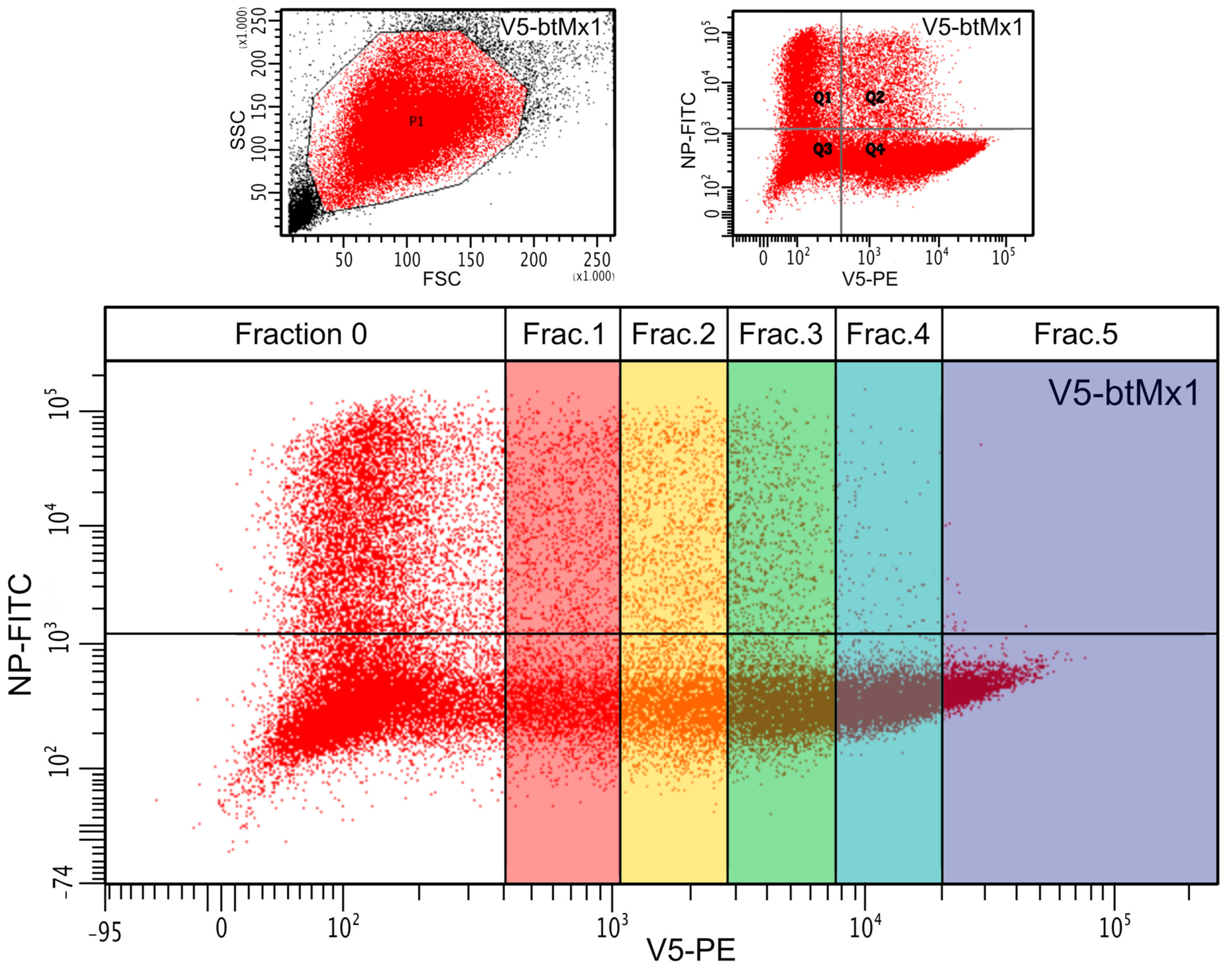 Viruses 15 01055 g003 Viruses 15 01055 g003