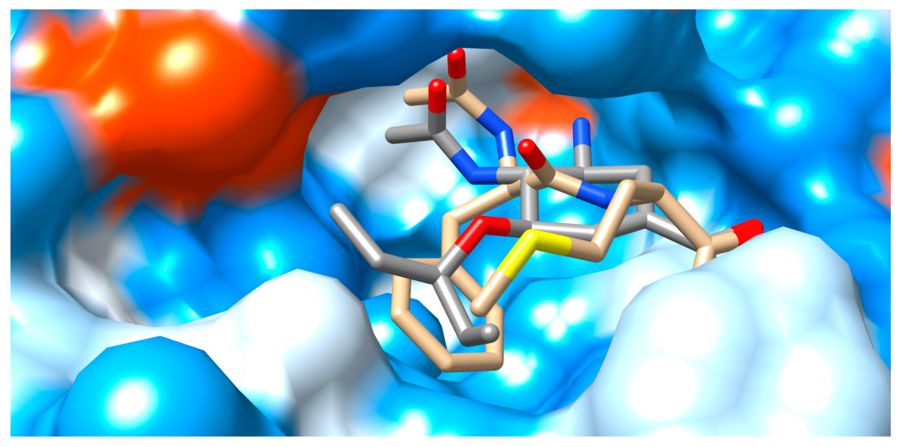 Viruses 15 01056 g004