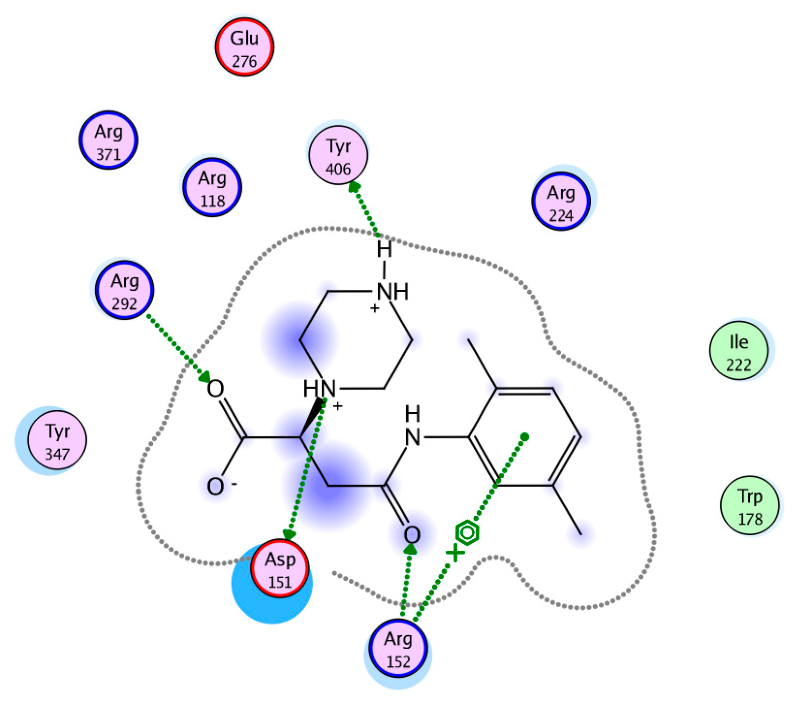 Viruses 15 01056 g007
