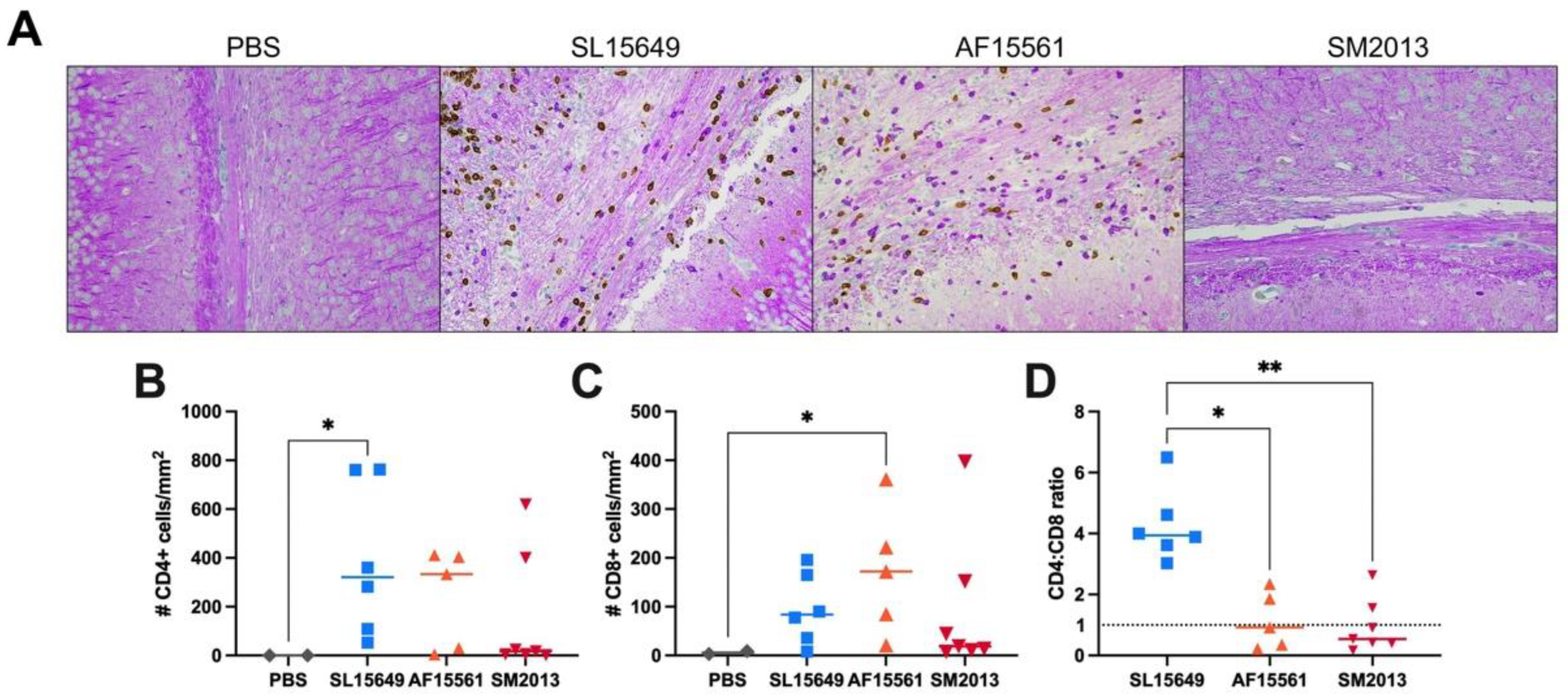 Viruses 15 01057 g006 Viruses 15 01057 g006