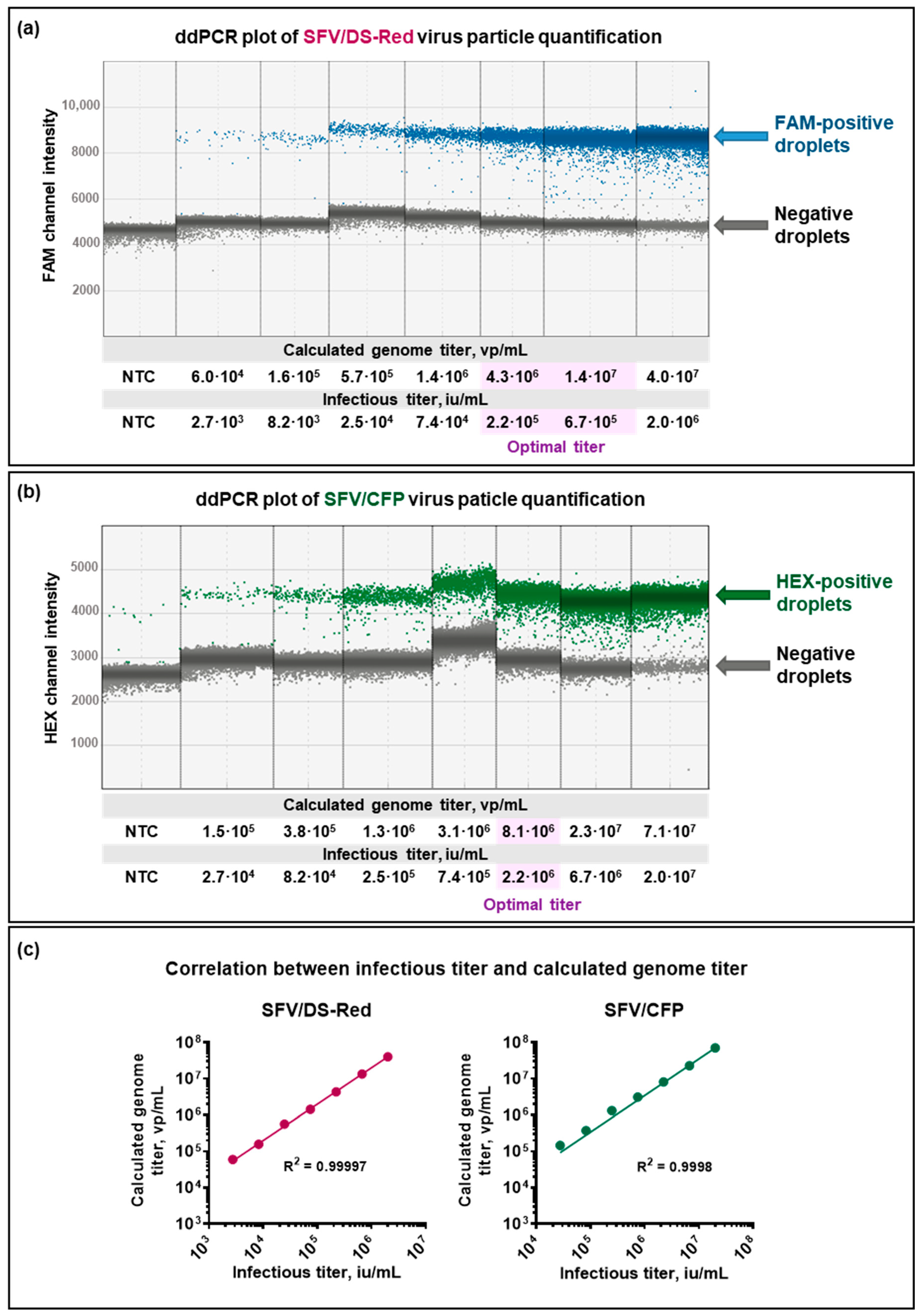 Viruses 15 01060 g002 Viruses 15 01060 g002