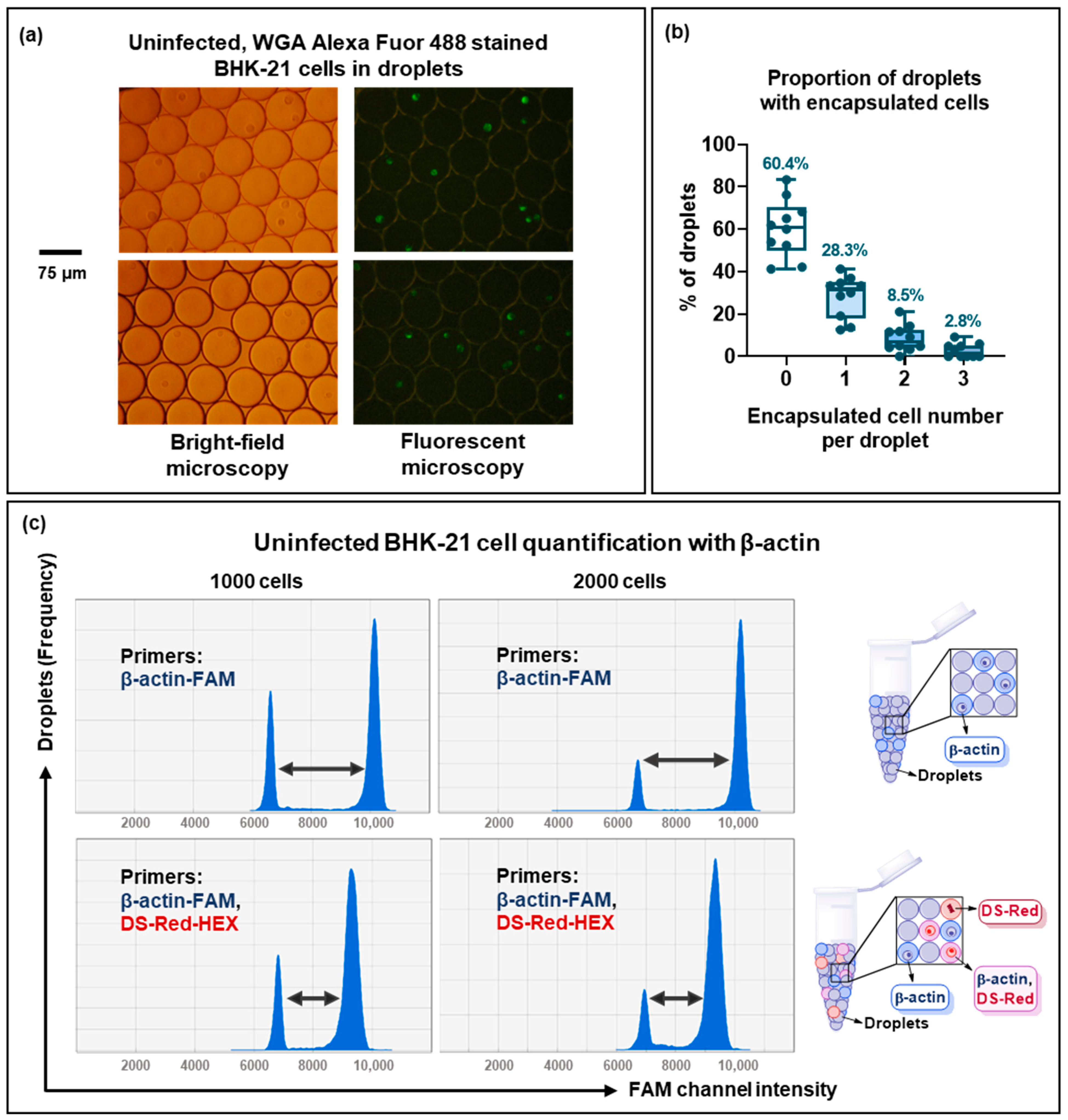 Viruses 15 01060 g008 Viruses 15 01060 g008