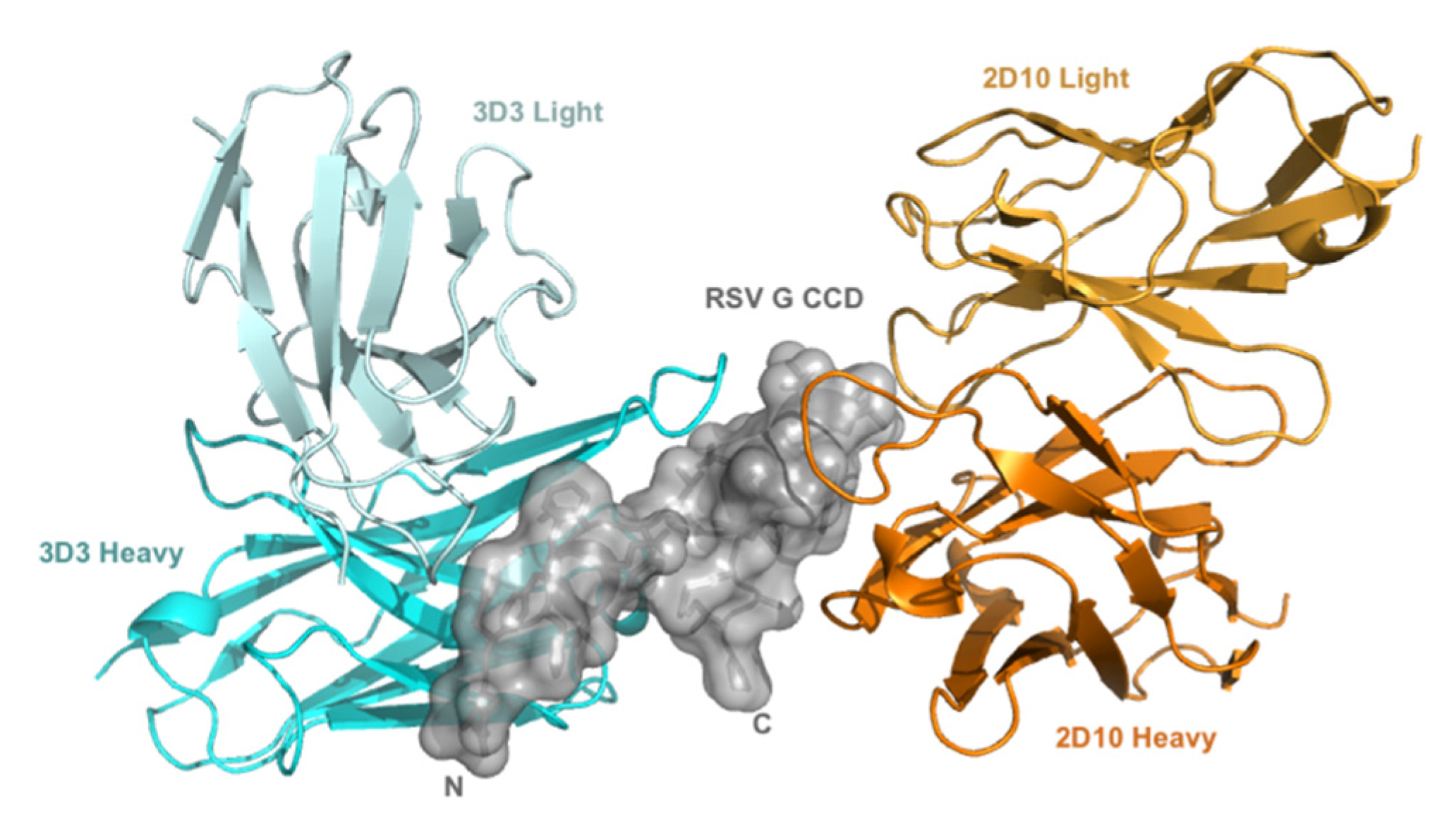 Viruses 15 01067 g001 Viruses 15 01067 g001