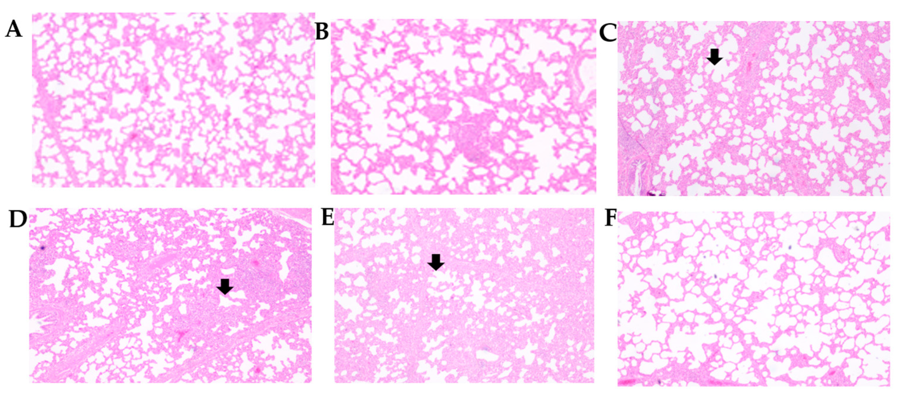 Viruses 15 01071 g003 Viruses 15 01071 g003