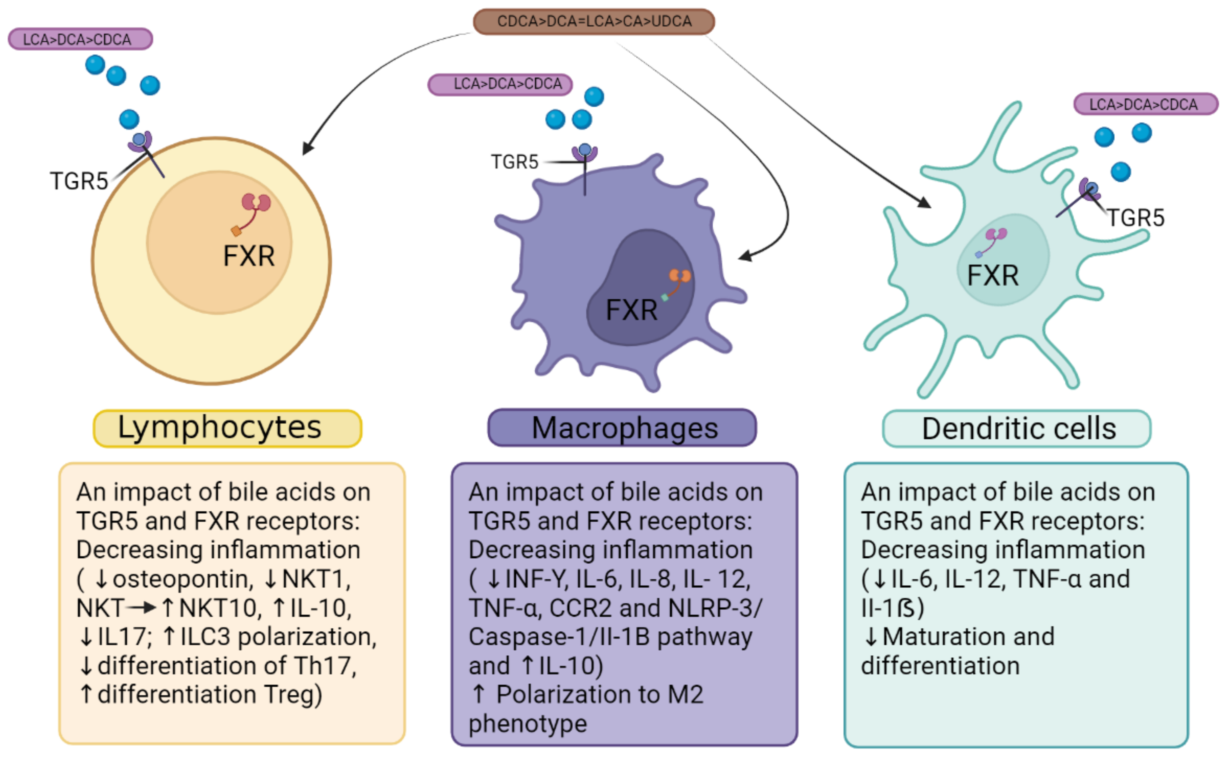 Viruses 15 01072 g001 Viruses 15 01072 g001