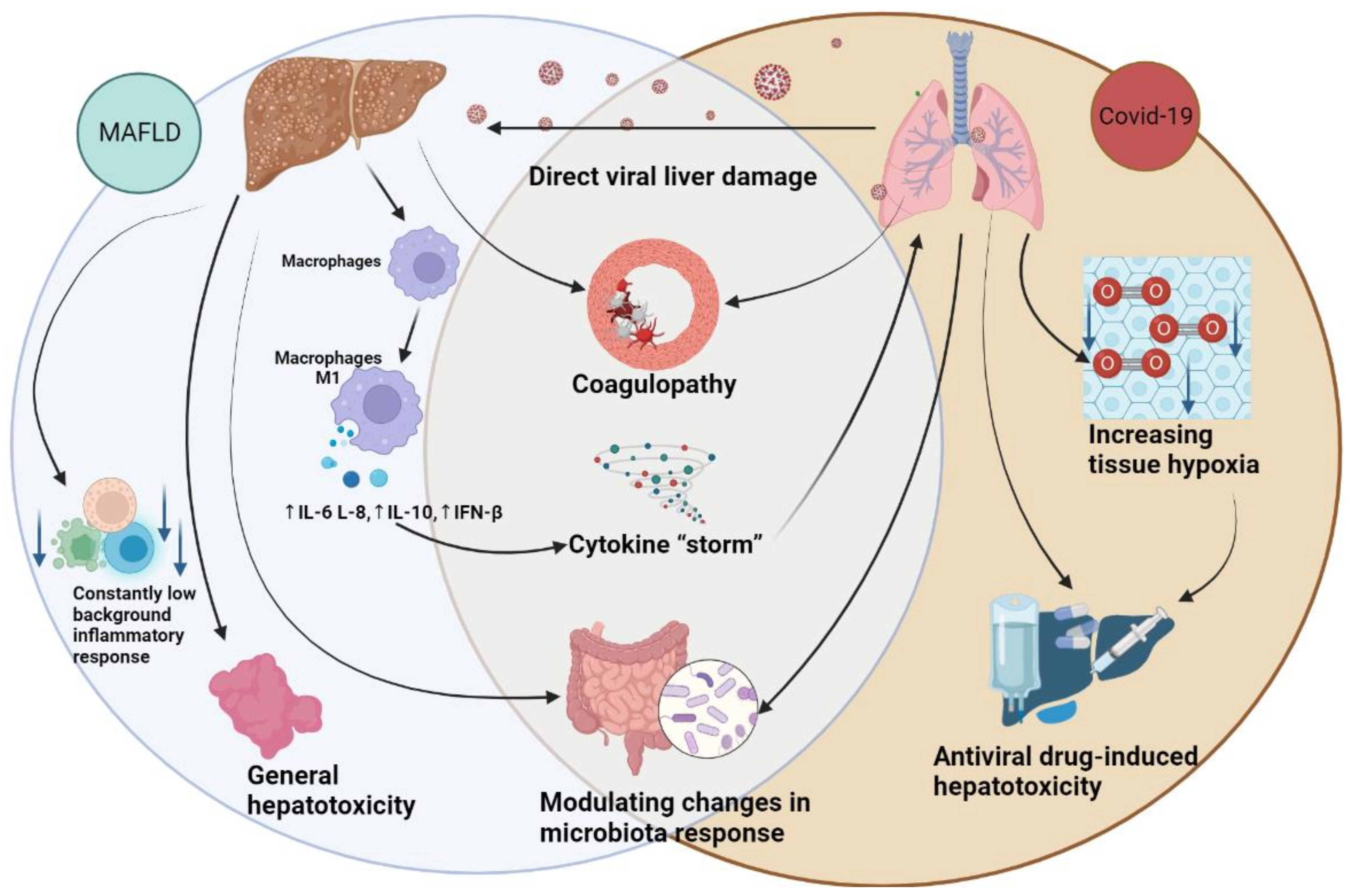 Viruses 15 01072 g002 Viruses 15 01072 g002