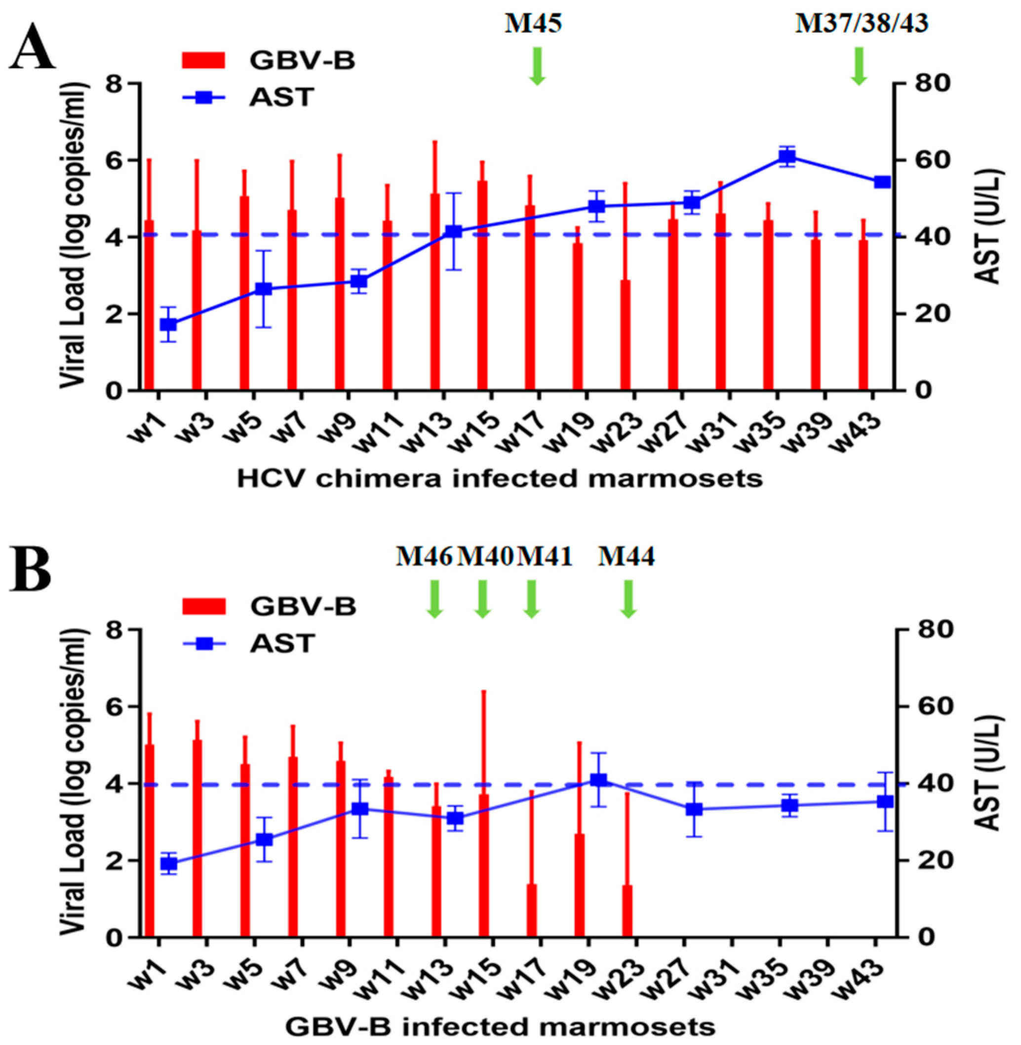Viruses 15 01082 g001