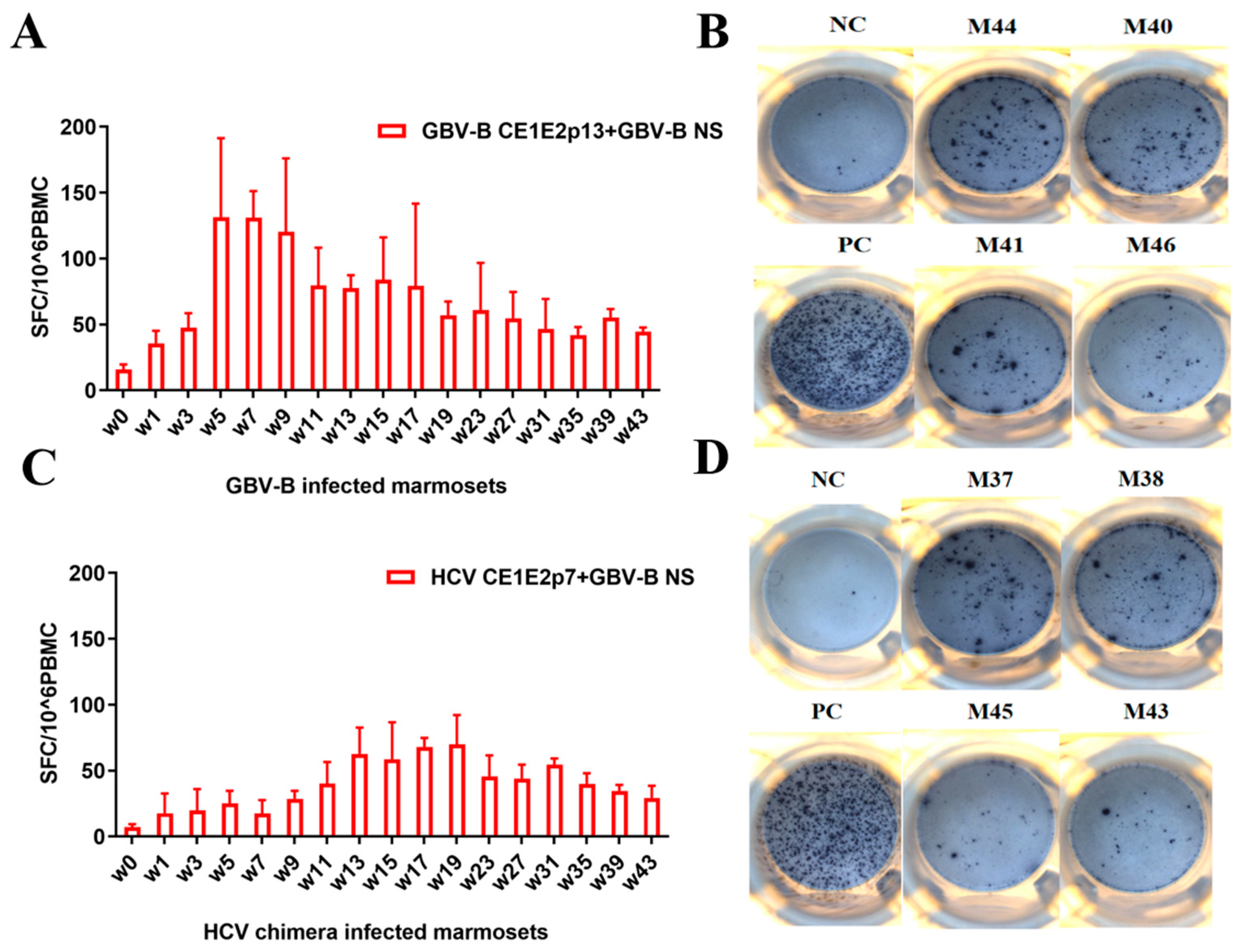 Viruses 15 01082 g003